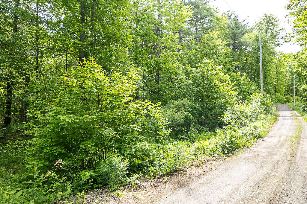 1171 Plains Road Property Photo 12