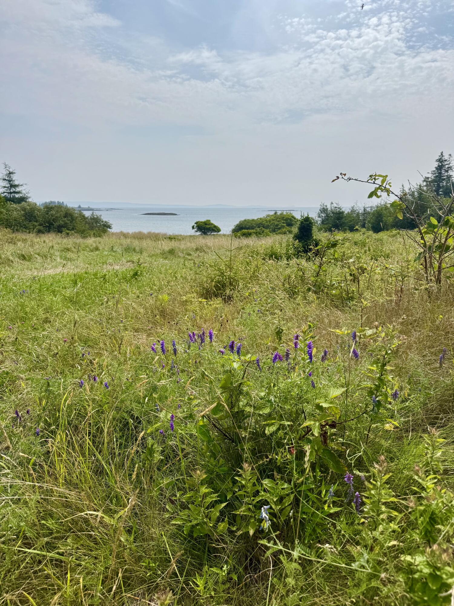 Lot #5 George Wright Road Property Photo 4