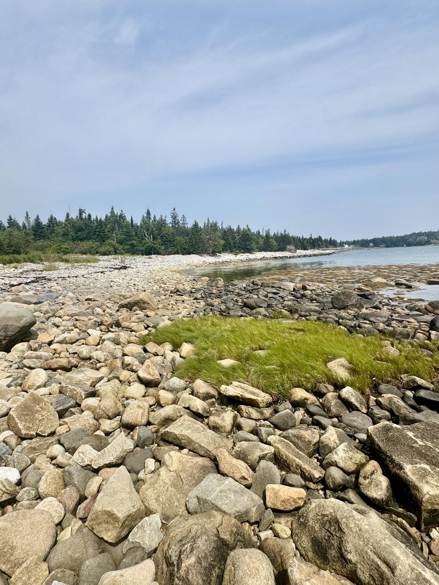 Lot #5 George Wright Road Property Photo 5
