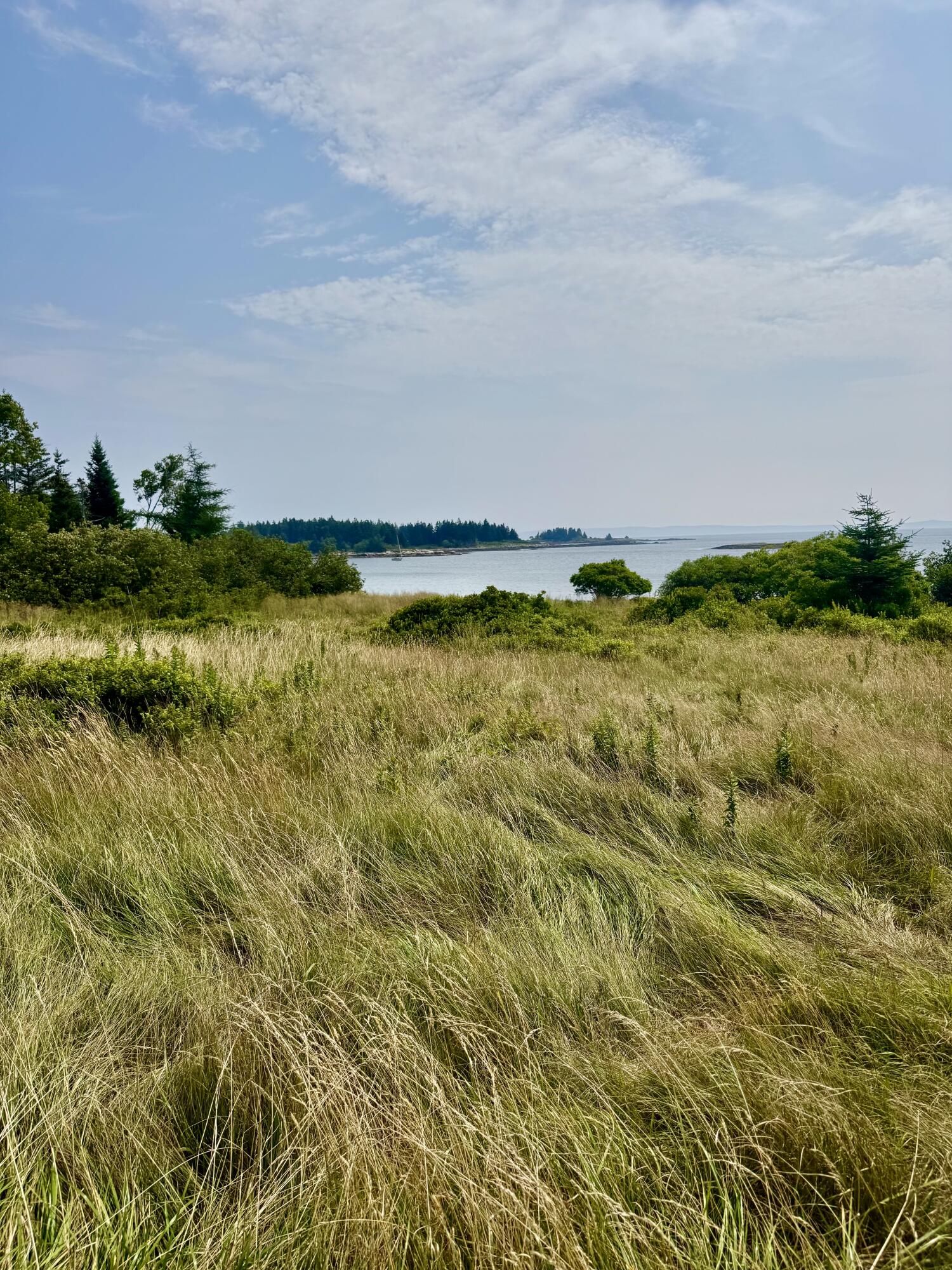Lot #5 George Wright Road Property Photo 6