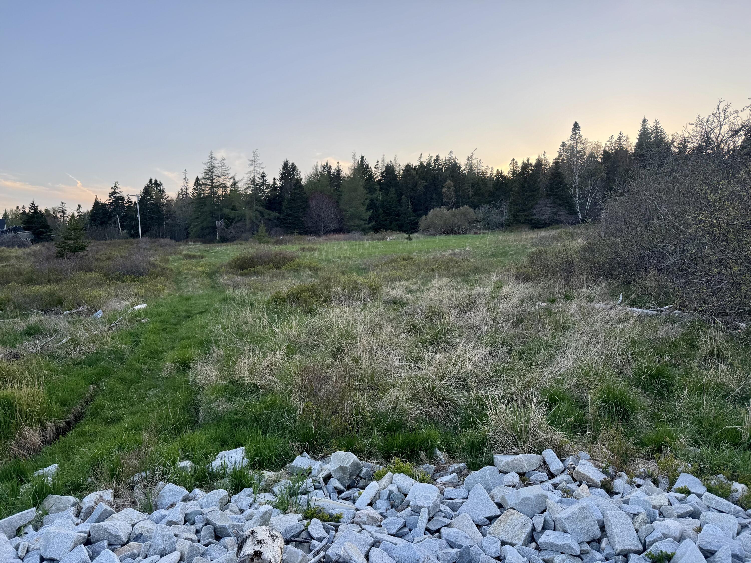 Lot #5 George Wright Road Property Photo 17
