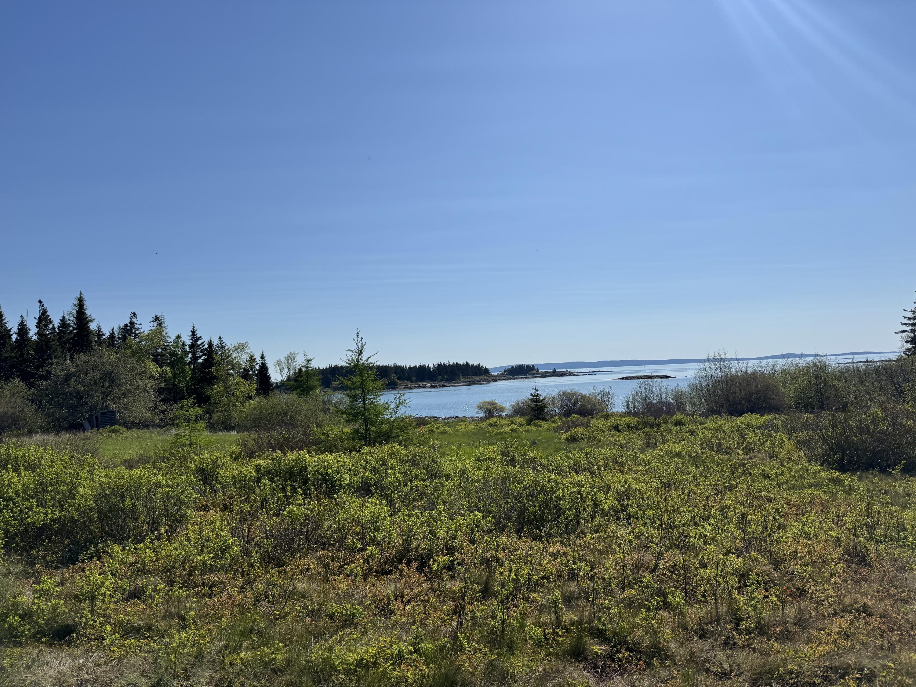 Lot #5 George Wright Road Property Photo 19