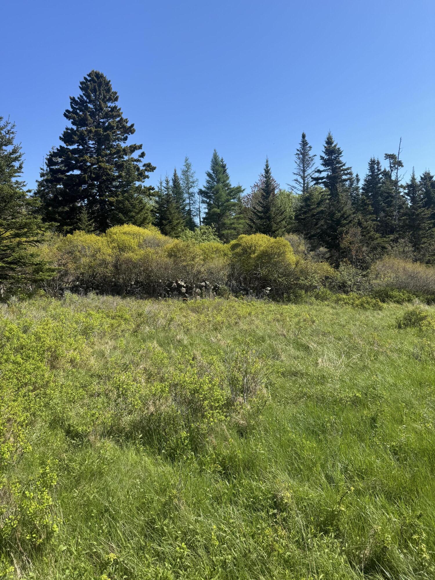 Lot #5 George Wright Road Property Photo 21