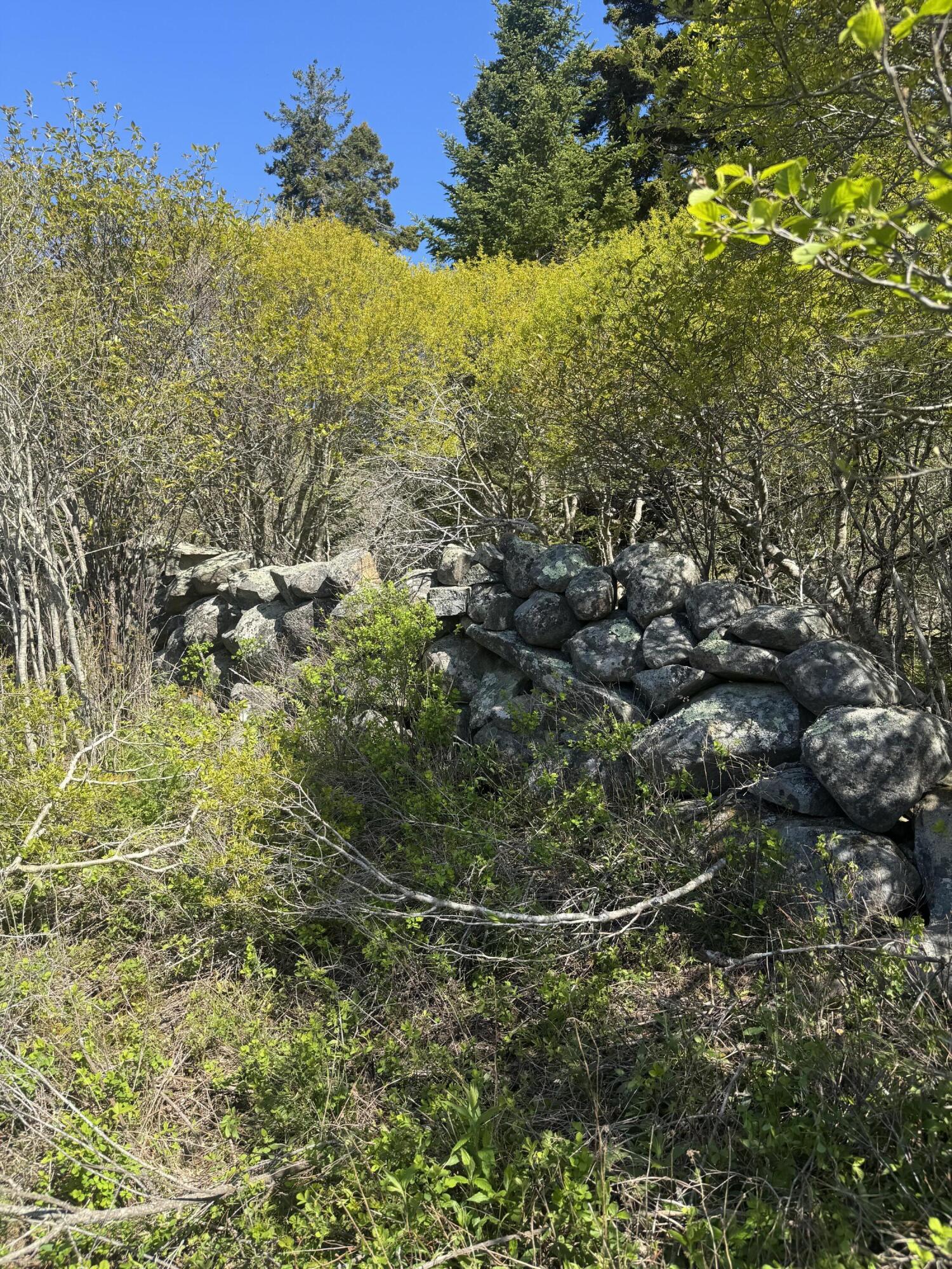 Lot #5 George Wright Road Property Photo 22