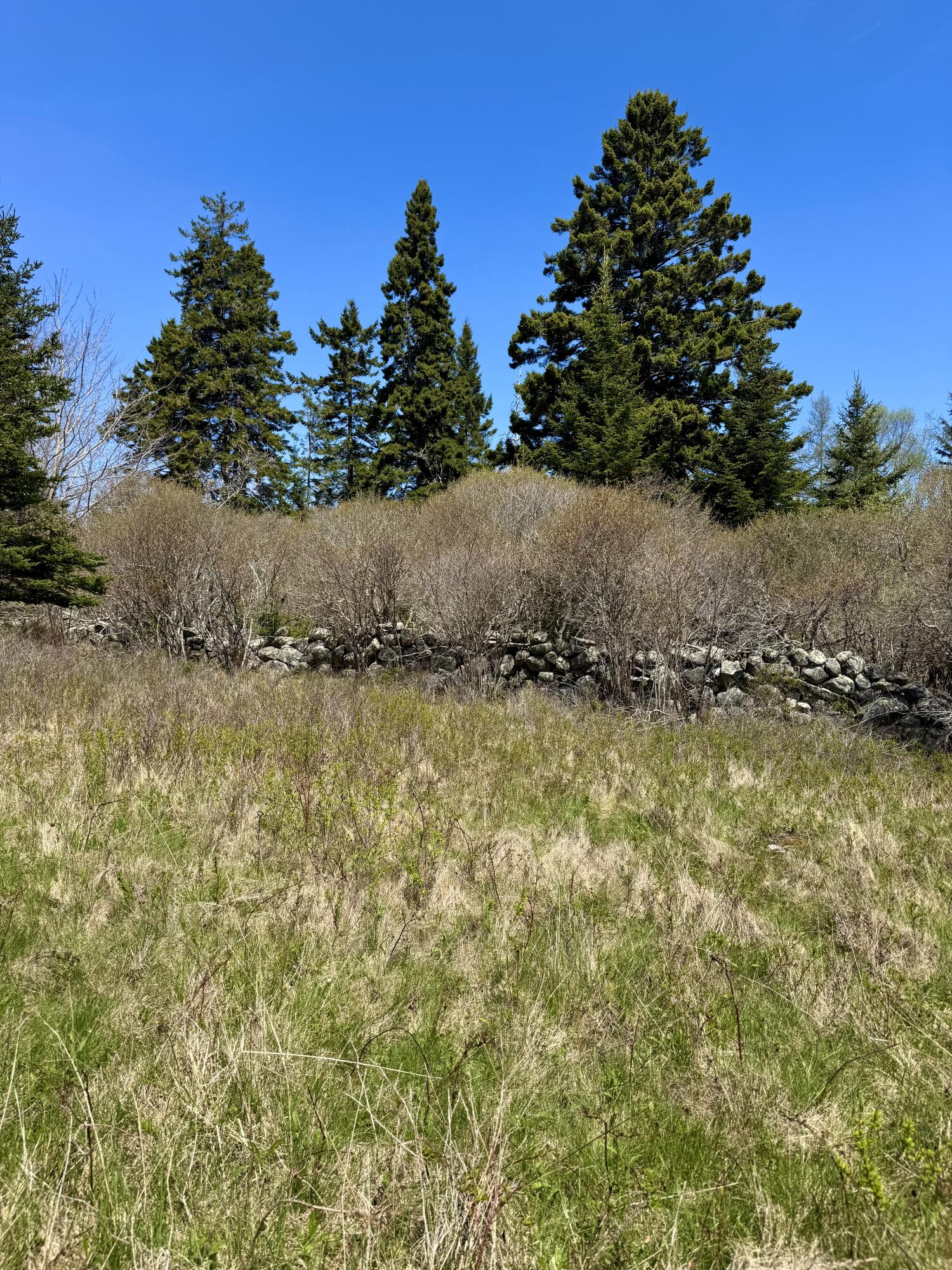 Lot #5 George Wright Road Property Photo 26
