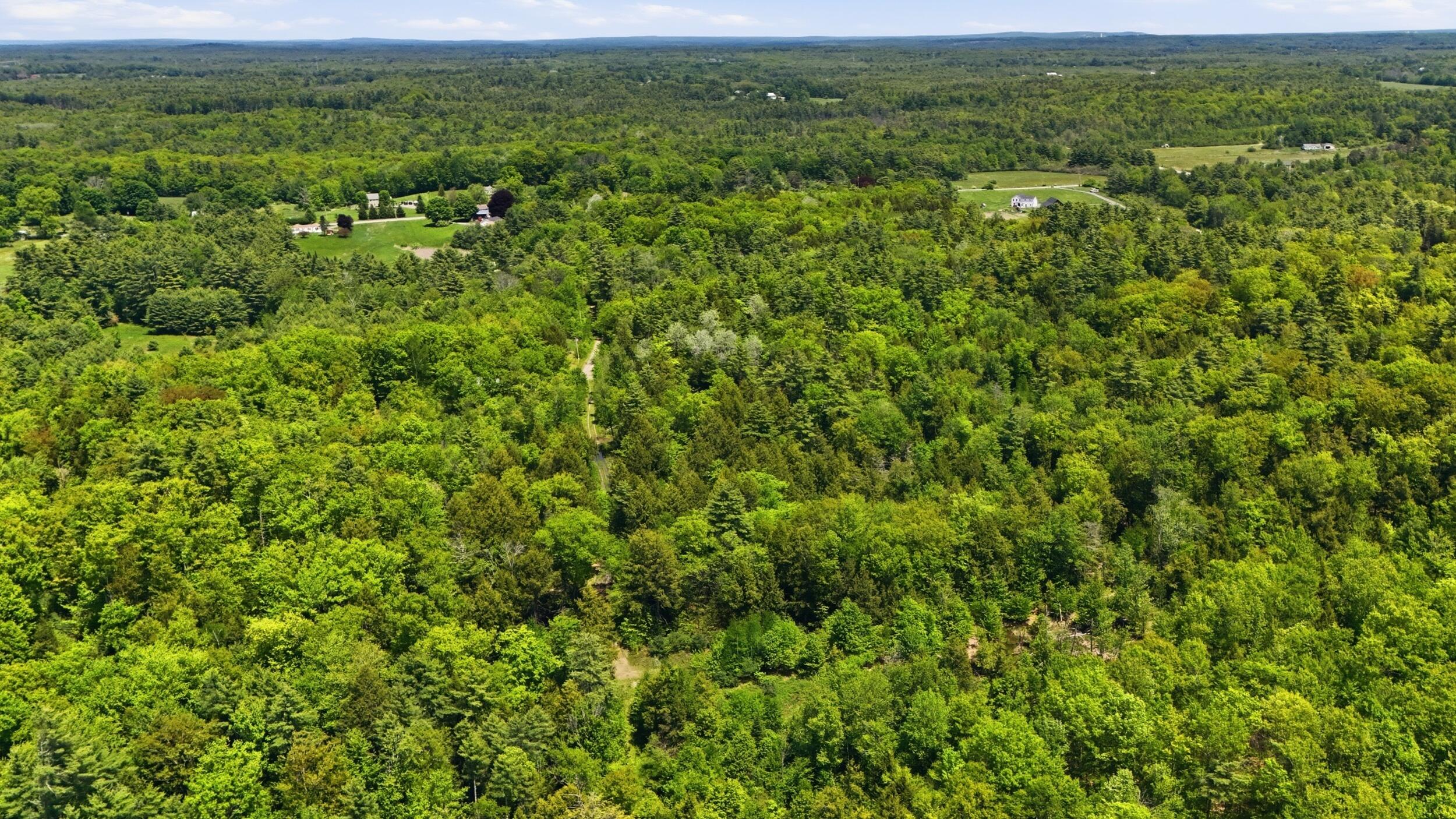 Lot 16c-1 Palmer Road Property Photo 3