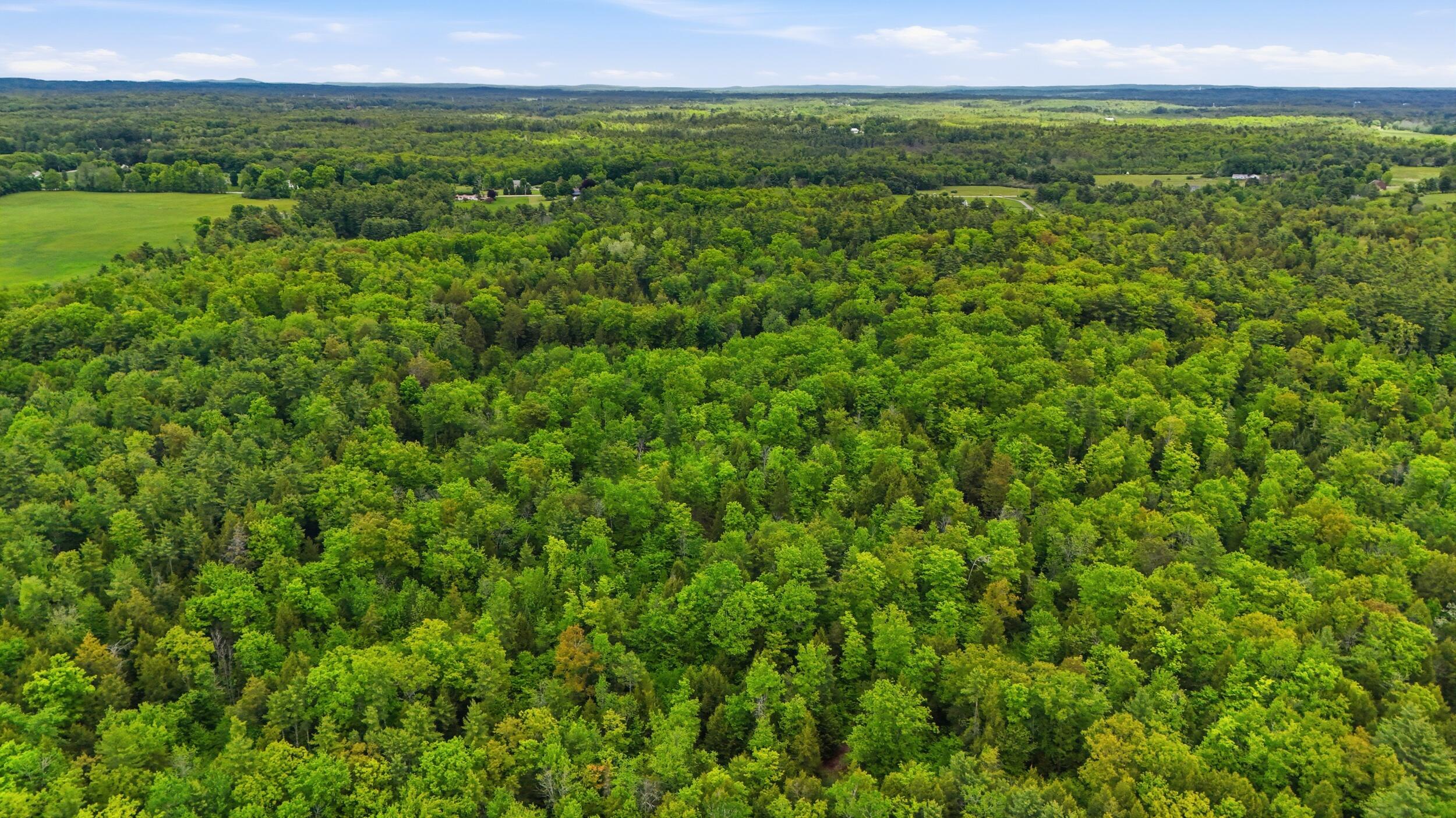 Lot 16c-1 Palmer Road Property Photo 8