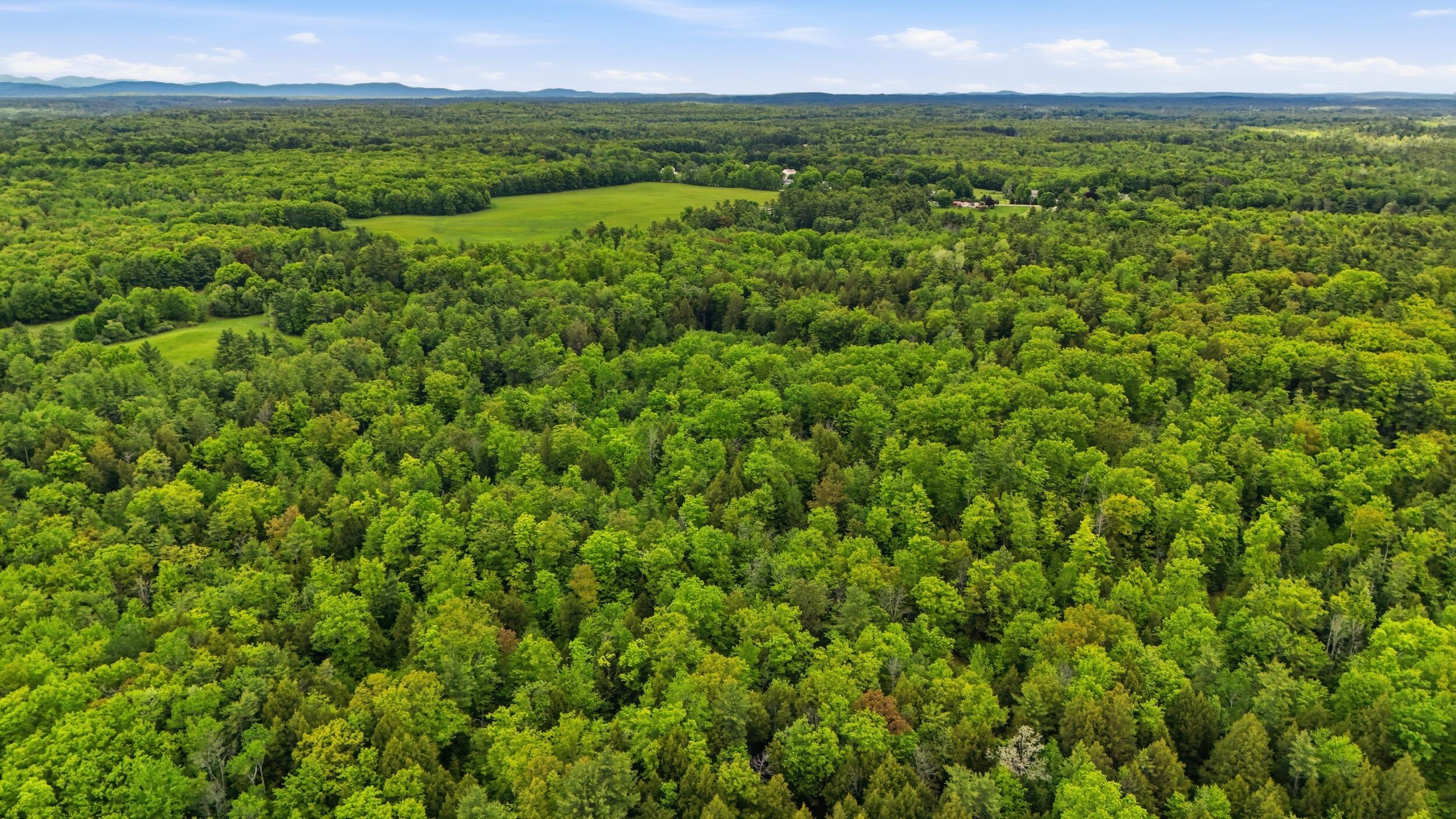 Lot 16c-1 Palmer Road Property Photo 9