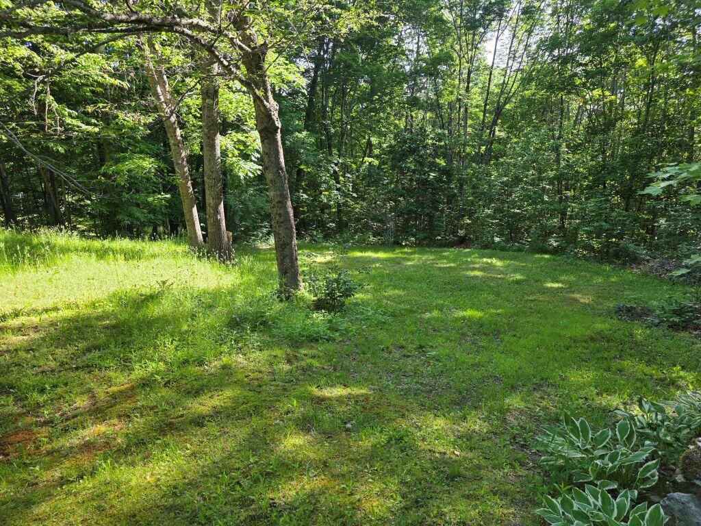 127 Hanscom Road Property Photo 7