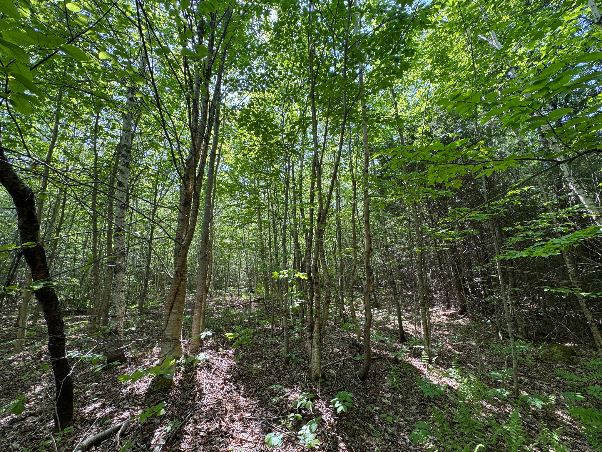 M1 L2 Off Bunker Hill Road Property Photo 6