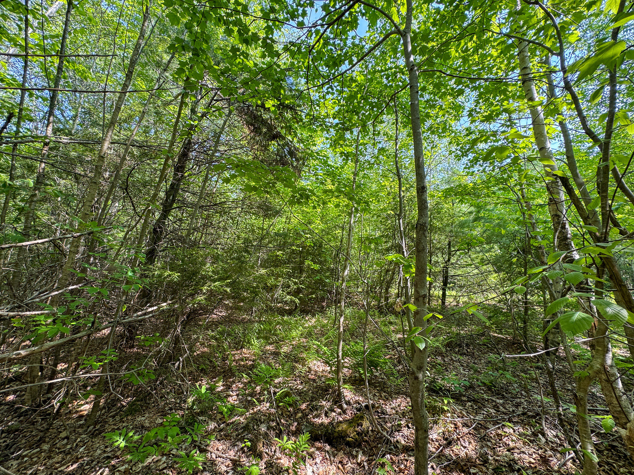 M1 L2 Off Bunker Hill Road Property Photo 8