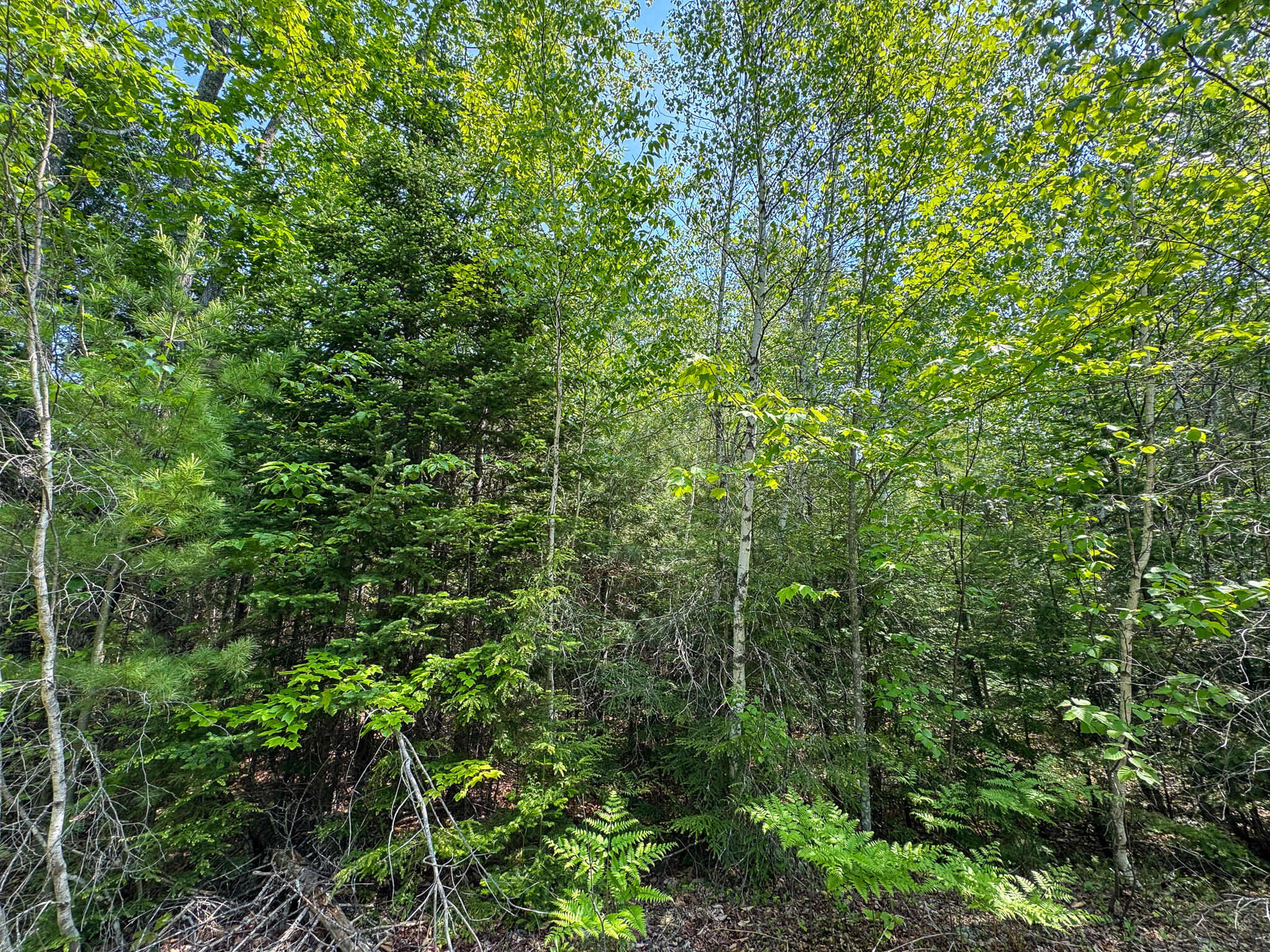 M1 L2 Off Bunker Hill Road Property Photo 12