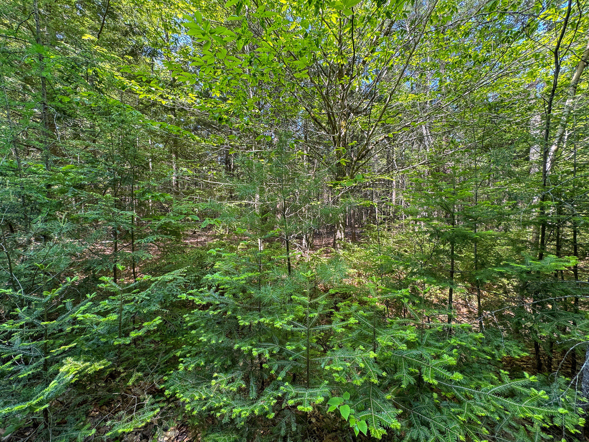 M1 L2 Off Bunker Hill Road Property Photo 13