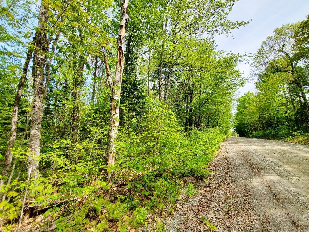 Lot 3 Maple Road Property Photo 20