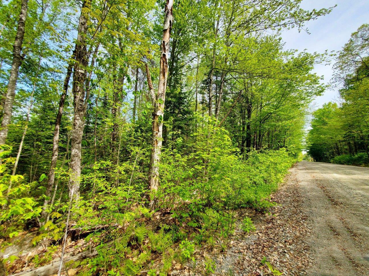 Lot 3 Maple Road Property Photo 21