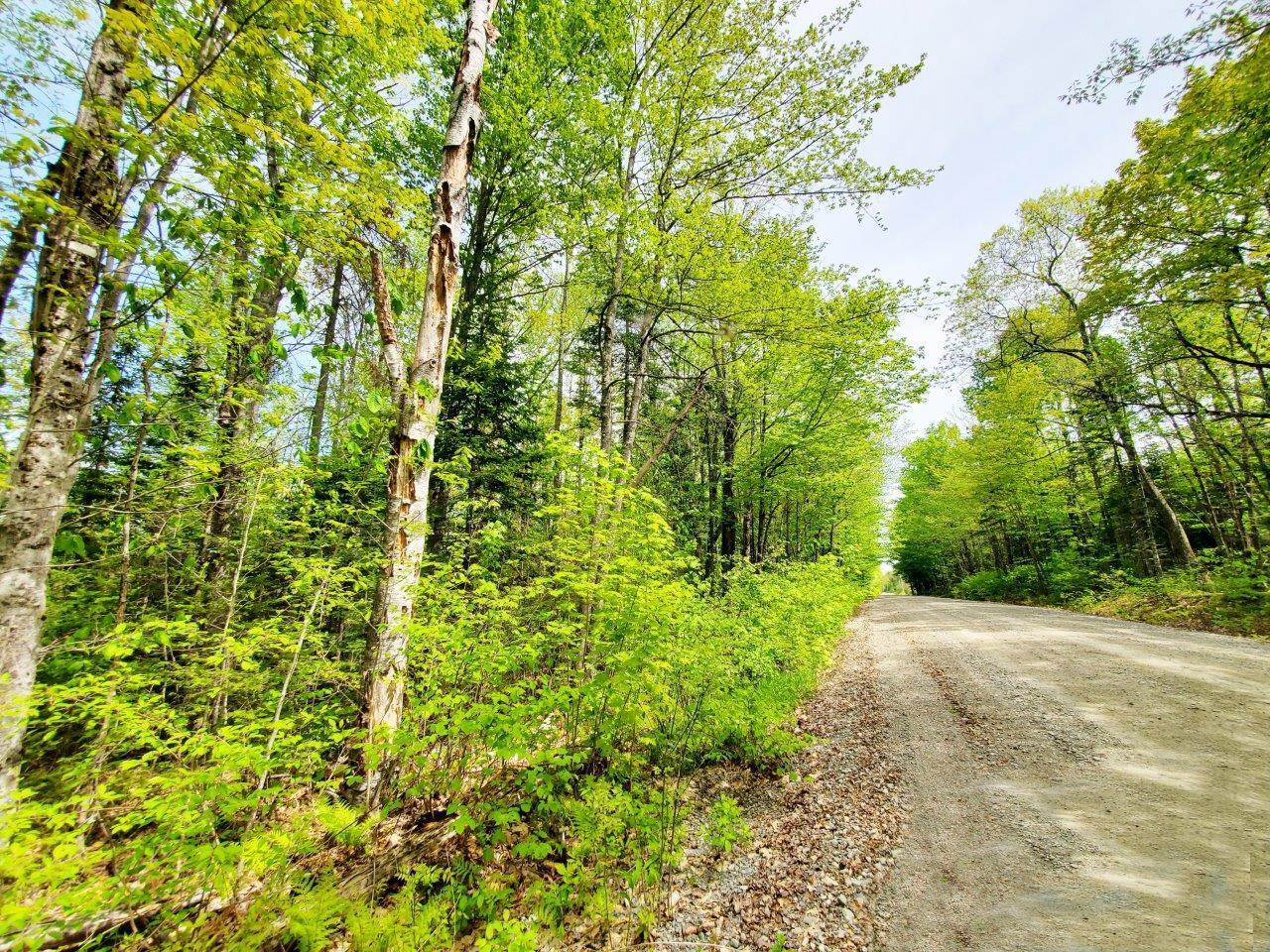 Lot 3 Maple Road Property Photo 22