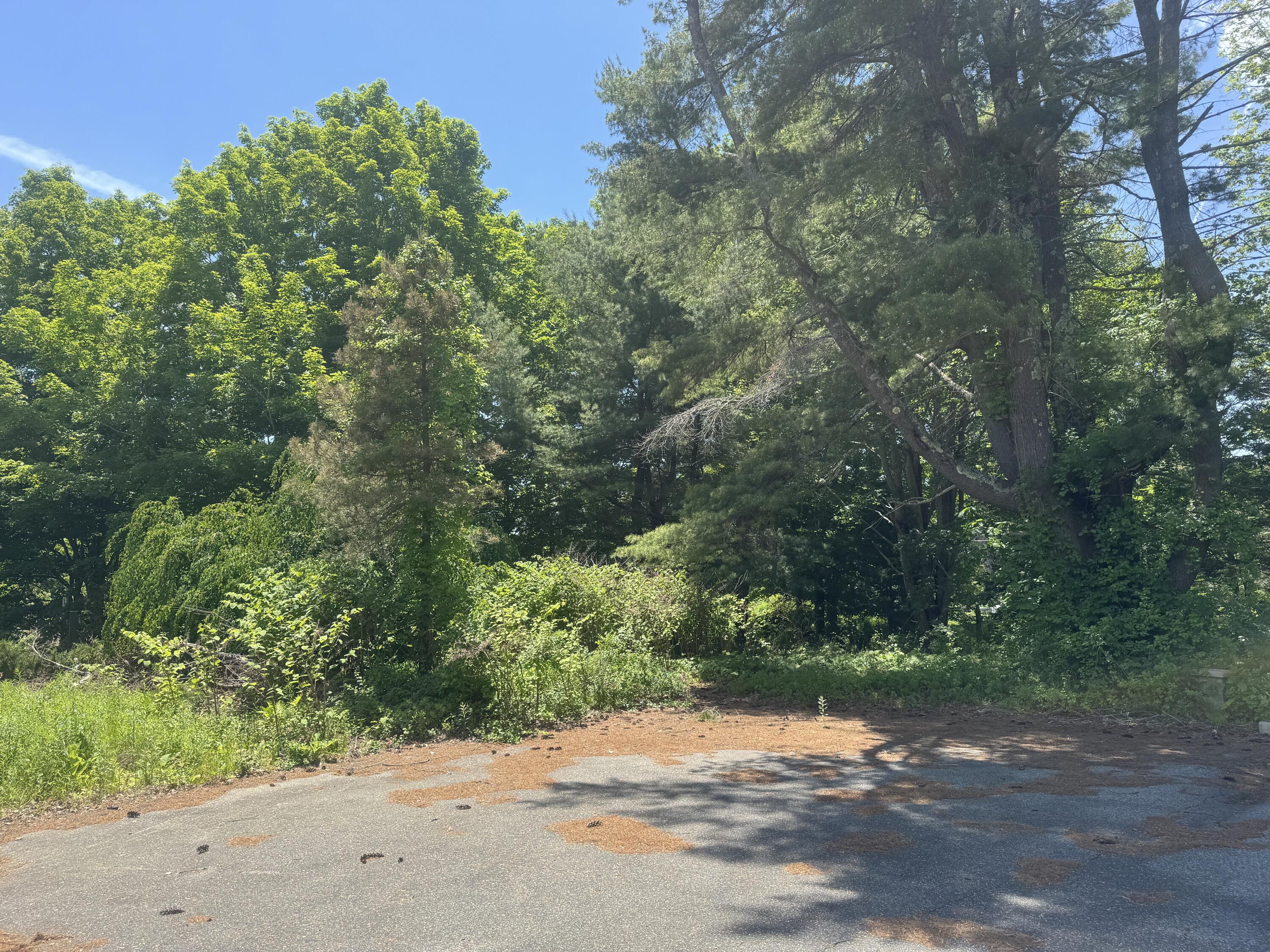 19 River Road Property Photo 3