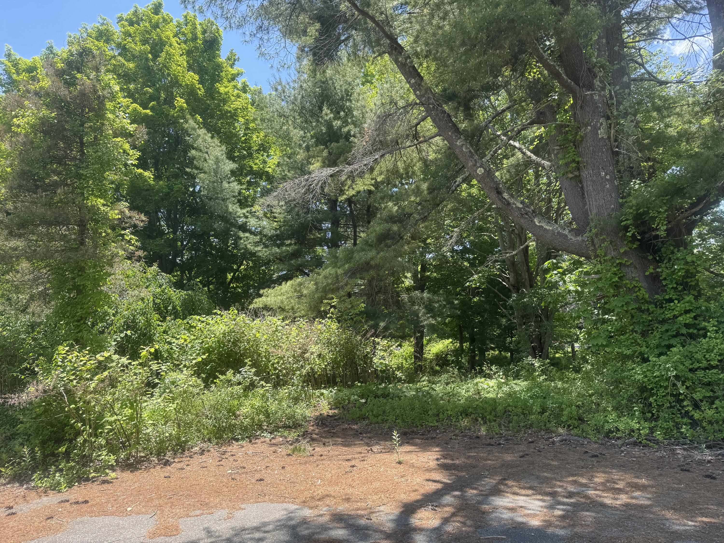 19 River Road Property Photo 5