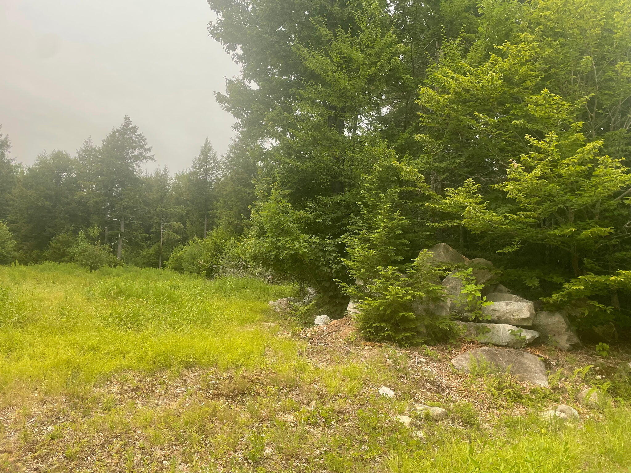 Lot 3a Allen Mountain Trail Property Photo 1