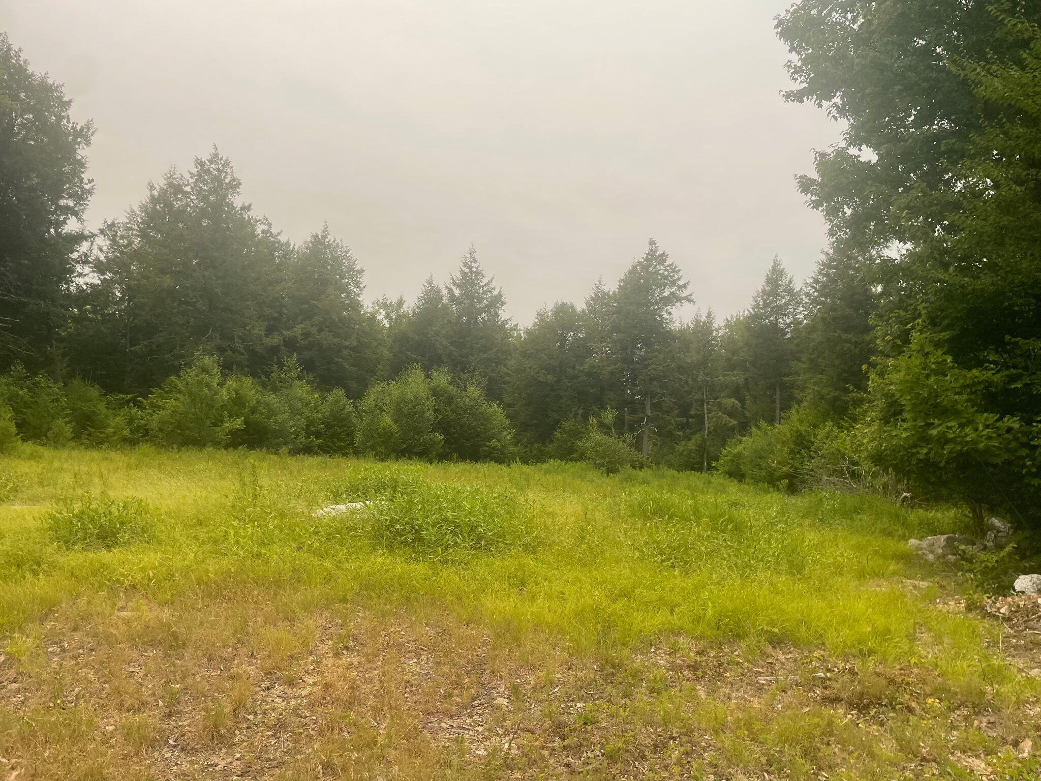 Lot 3a Allen Mountain Trail Property Photo 3