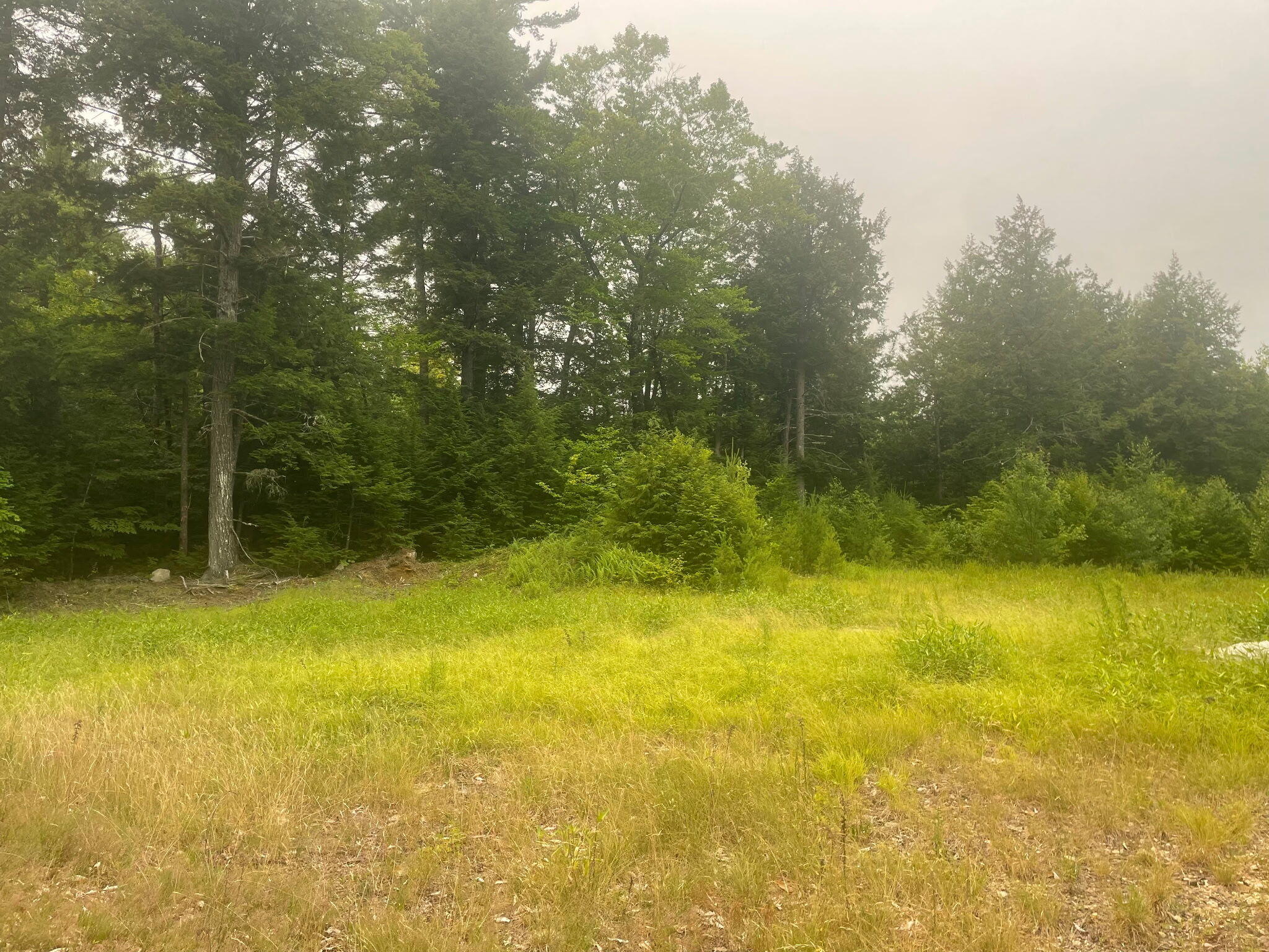 Lot 3a Allen Mountain Trail Property Photo 4