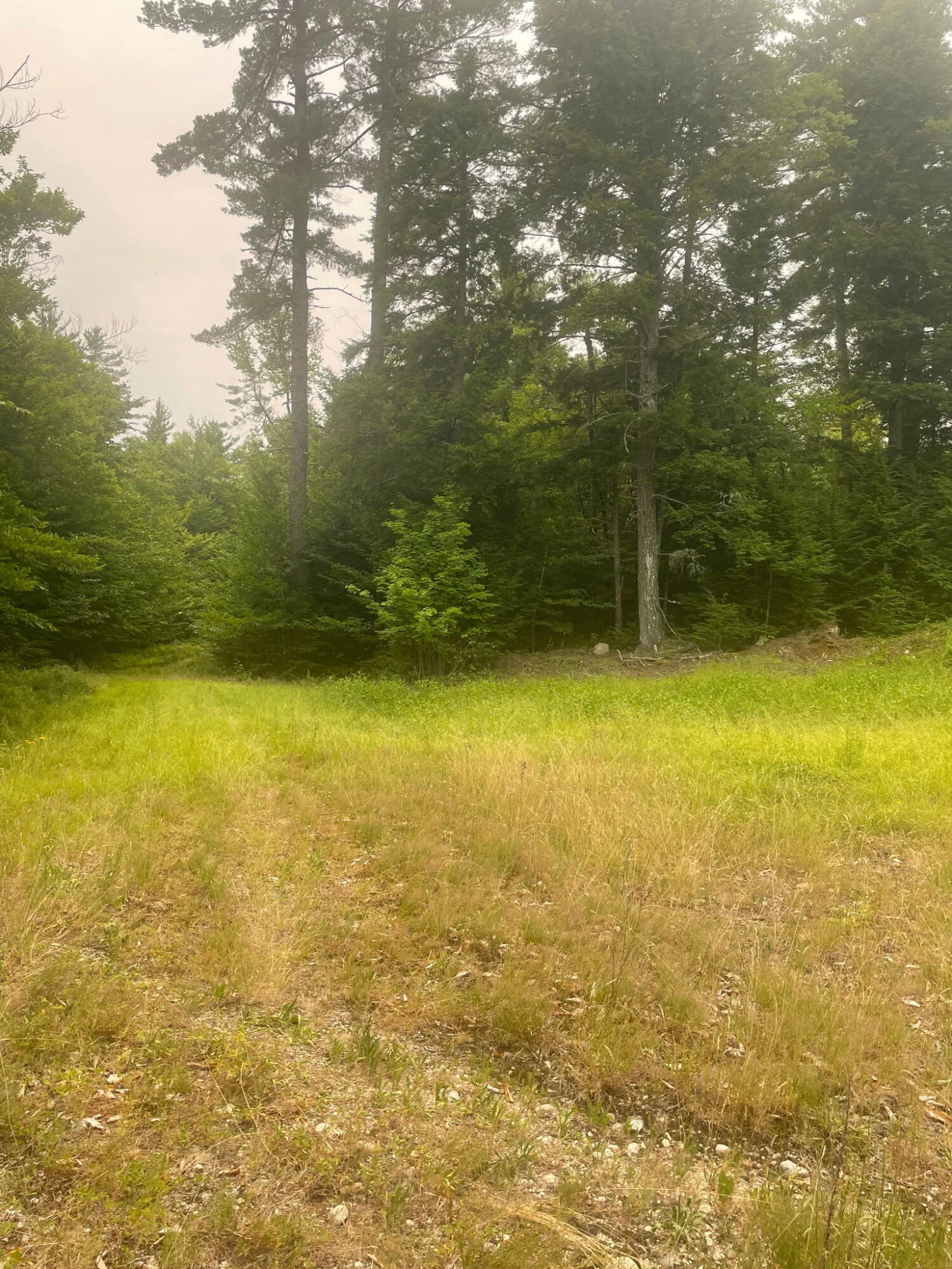 Lot 3a Allen Mountain Trail Property Photo 5