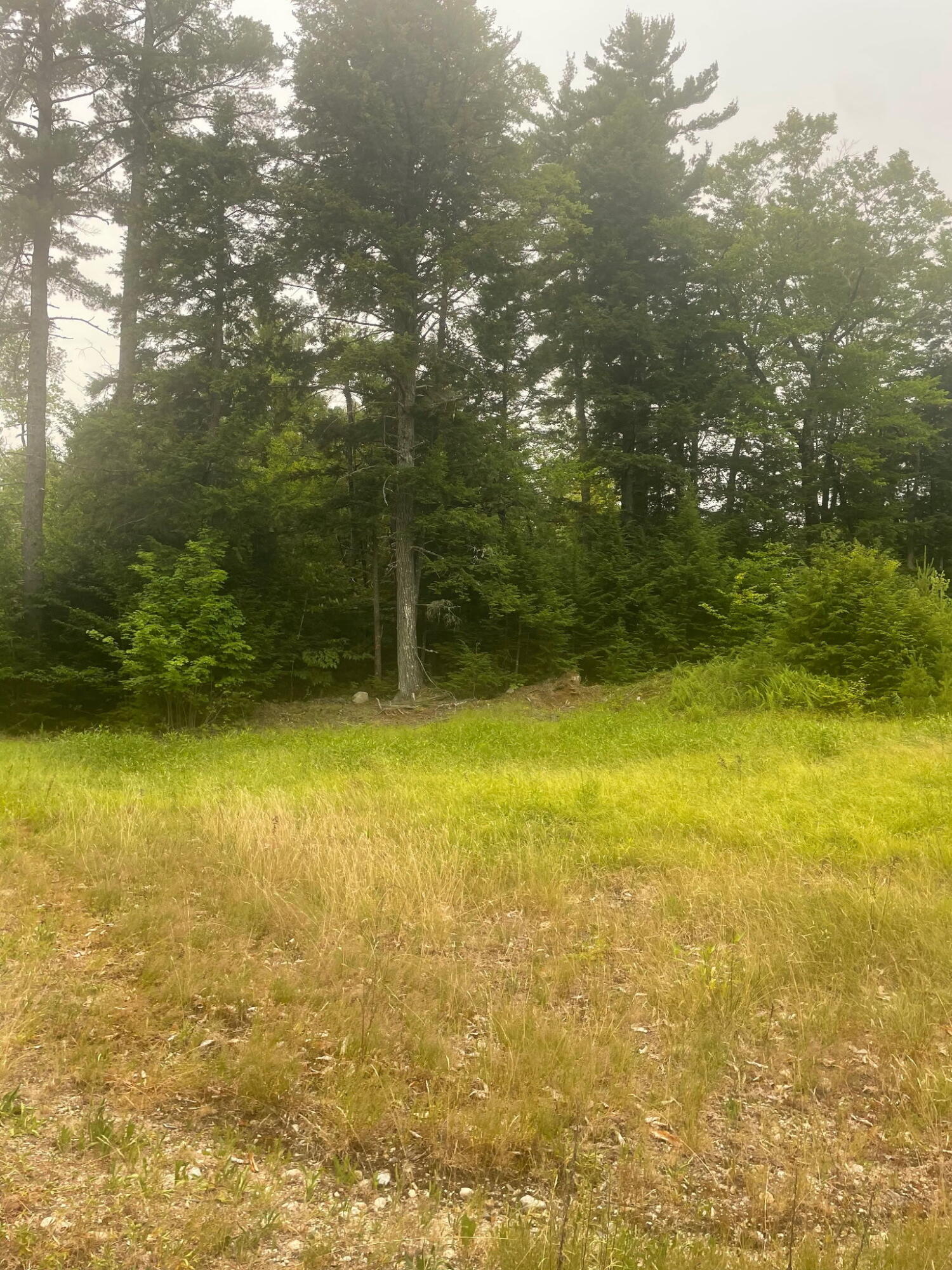 Lot 3a Allen Mountain Trail Property Photo 6