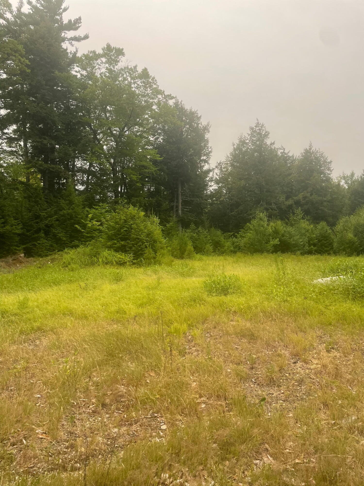 Lot 3a Allen Mountain Trail Property Photo 7
