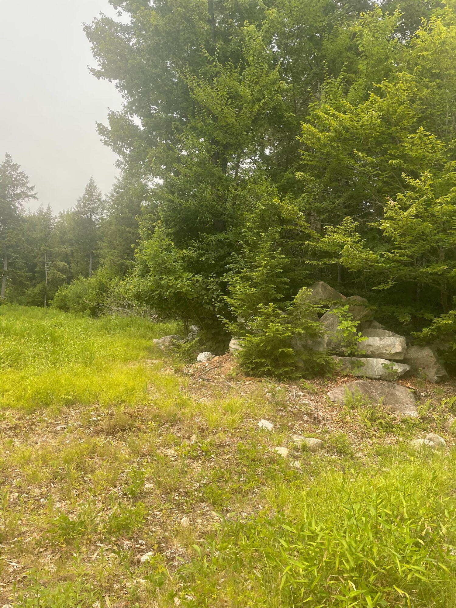 Lot 3a Allen Mountain Trail Property Photo 9