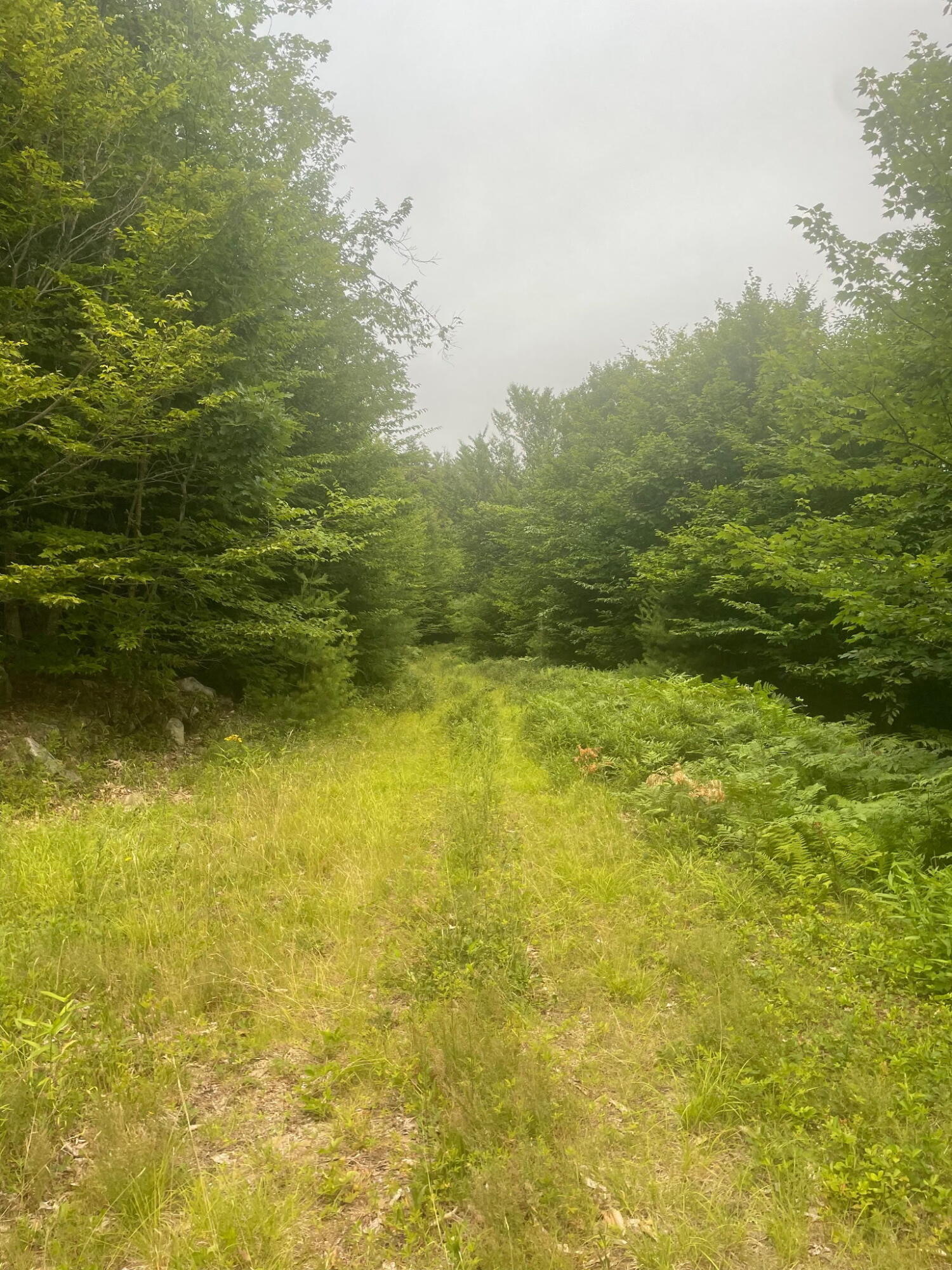 Lot 3a Allen Mountain Trail Property Photo 10
