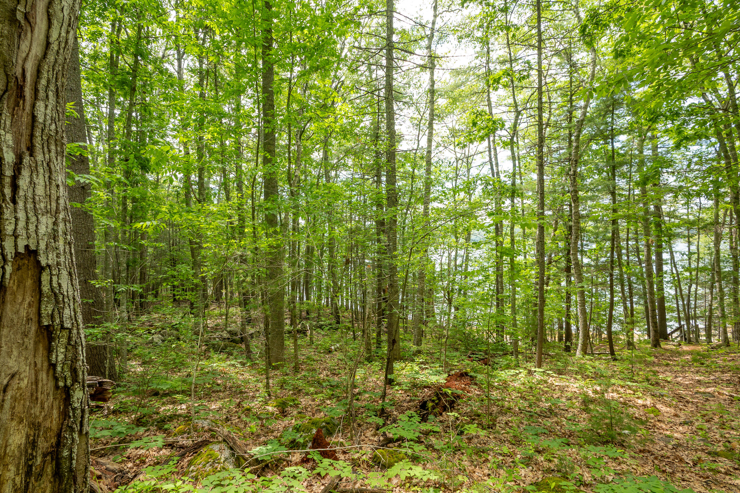 21-a Map 12 Property Photo 7