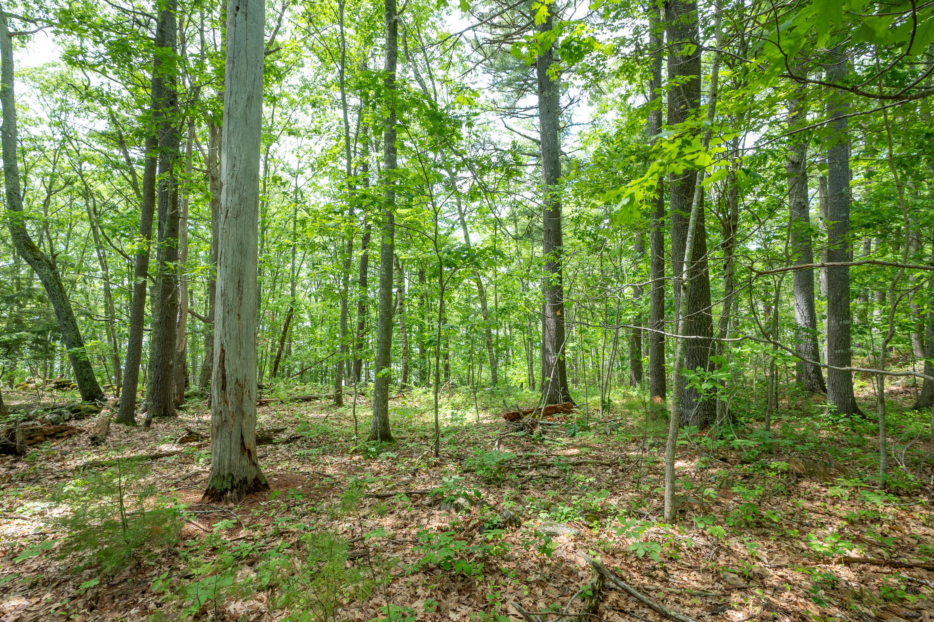21-a Map 12 Property Photo 26