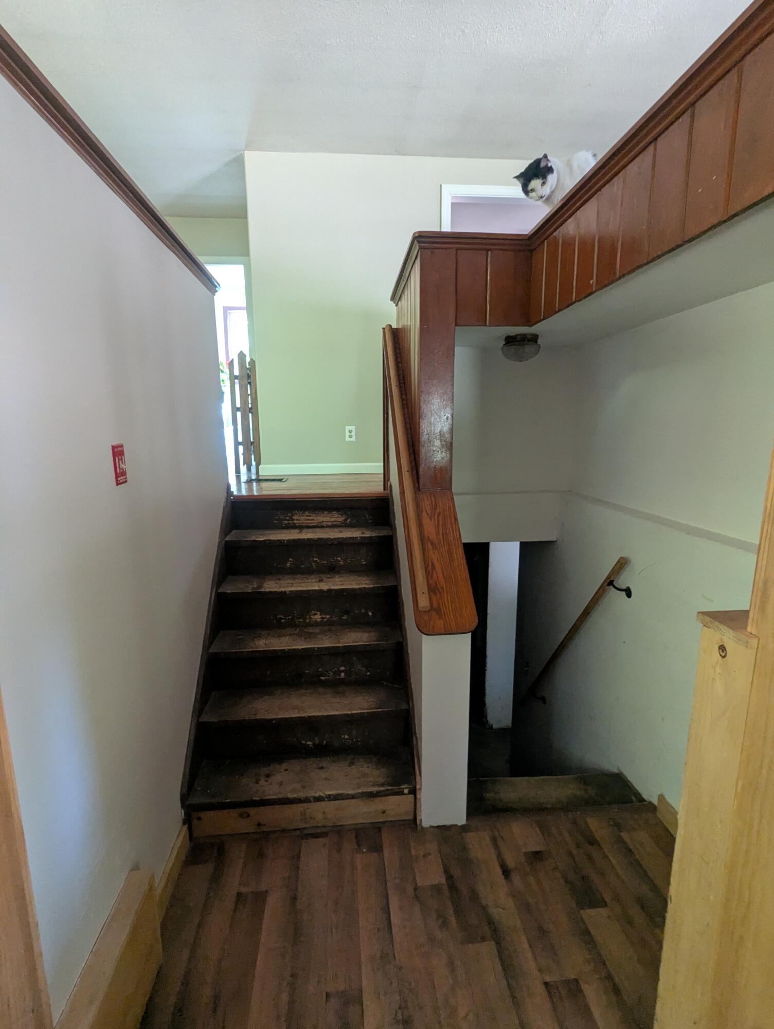 537 Millvale Road Property Photo 13