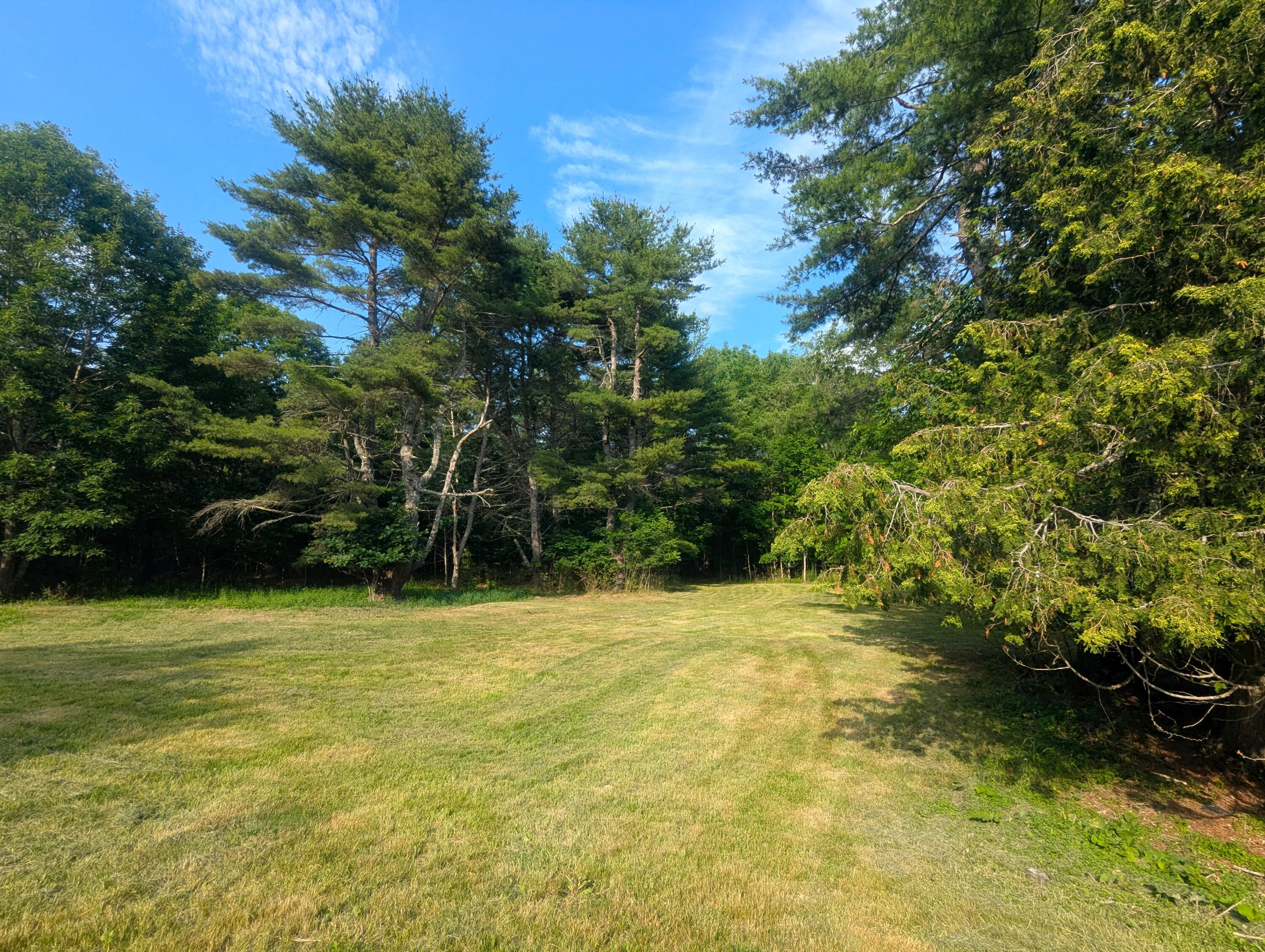 537 Millvale Road Property Photo 59