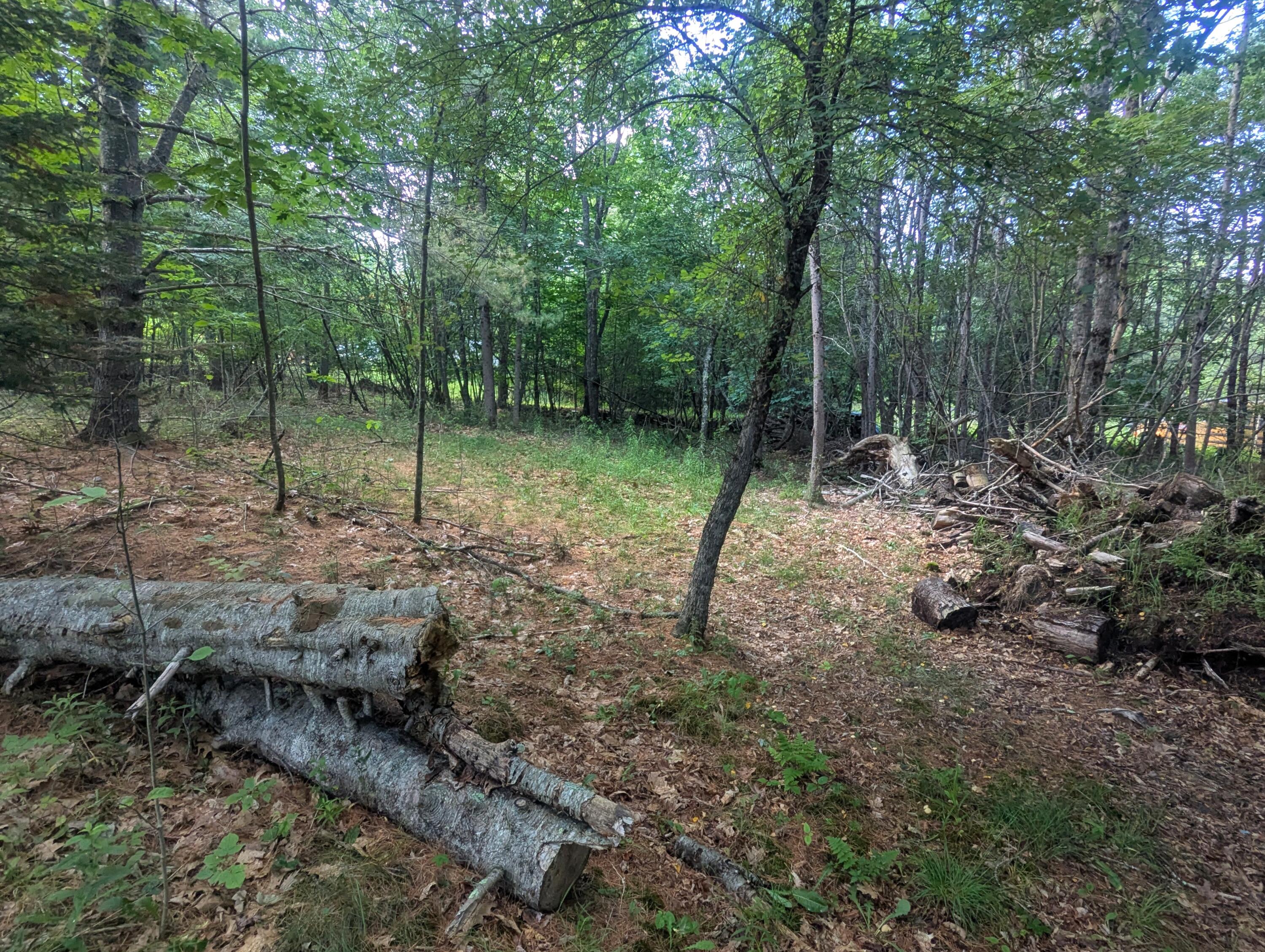 537 Millvale Road Property Photo 63