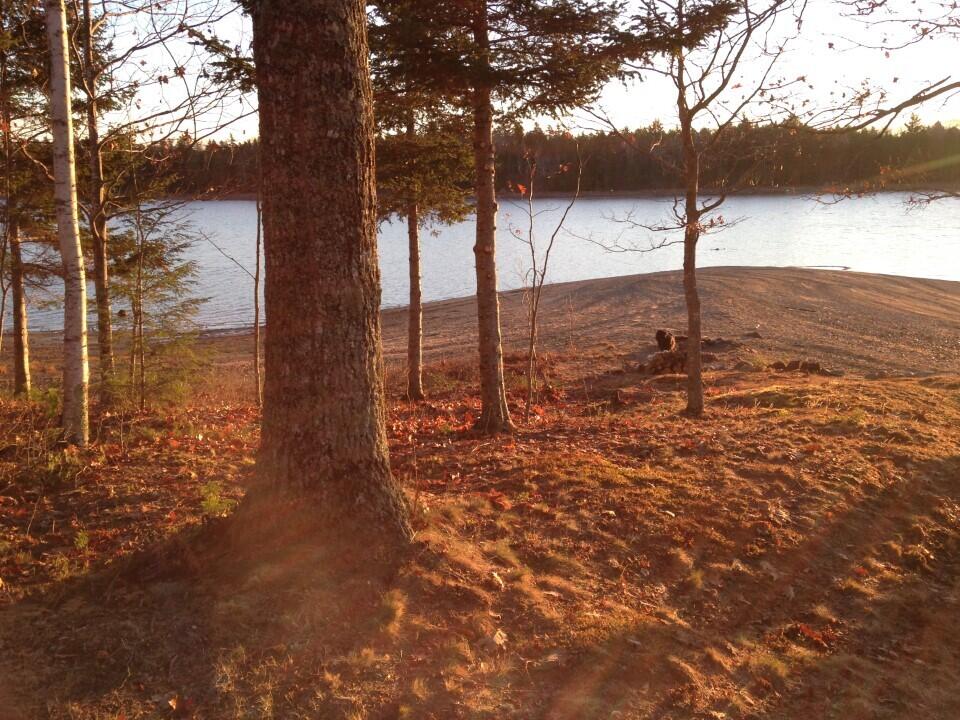 1 Eagle Island Property Photo 17