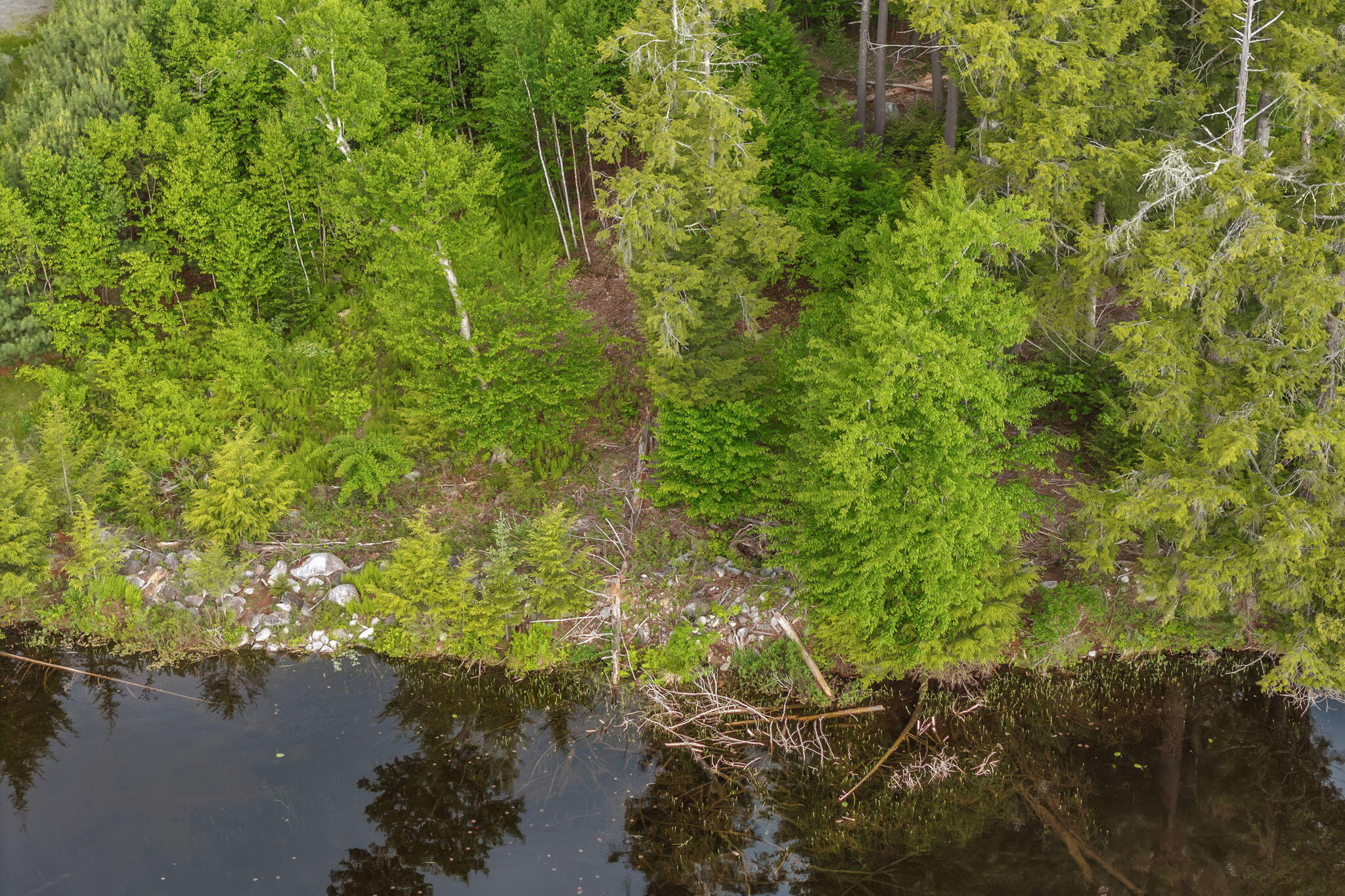 Lot 10 Deer Drive Property Photo 4