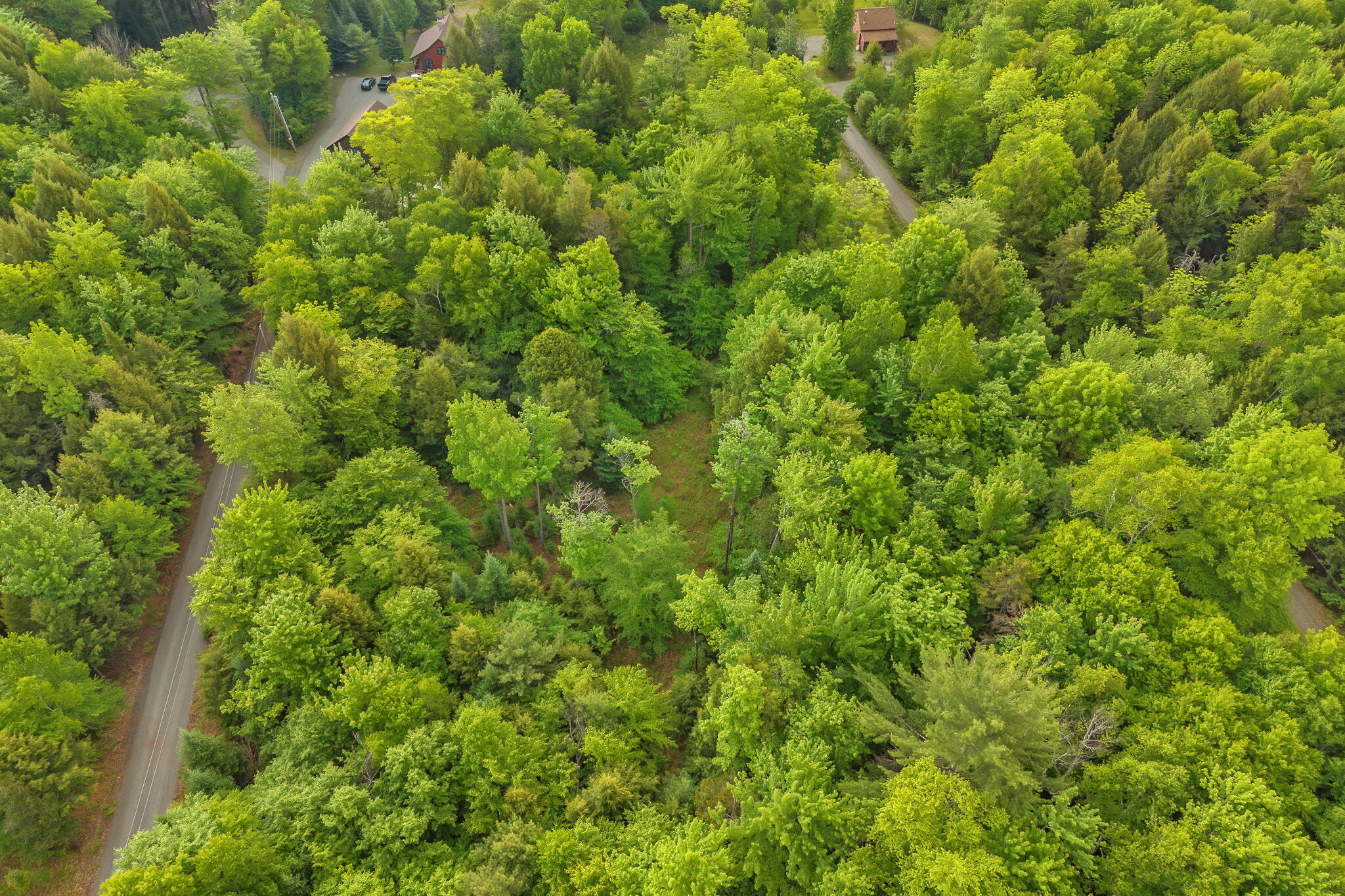 Lot 10 Deer Drive Property Photo 13
