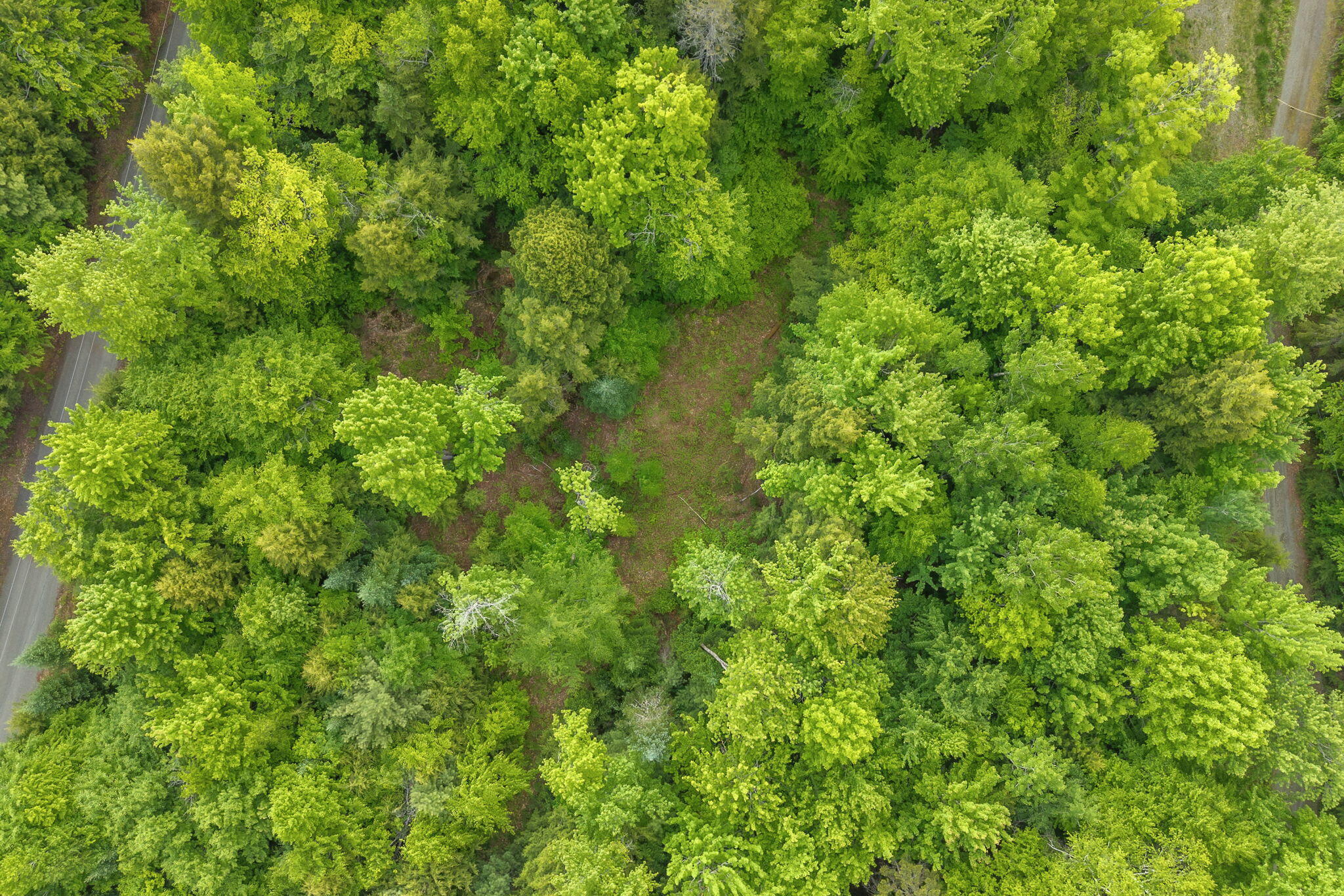 Lot 10 Deer Drive Property Photo 14