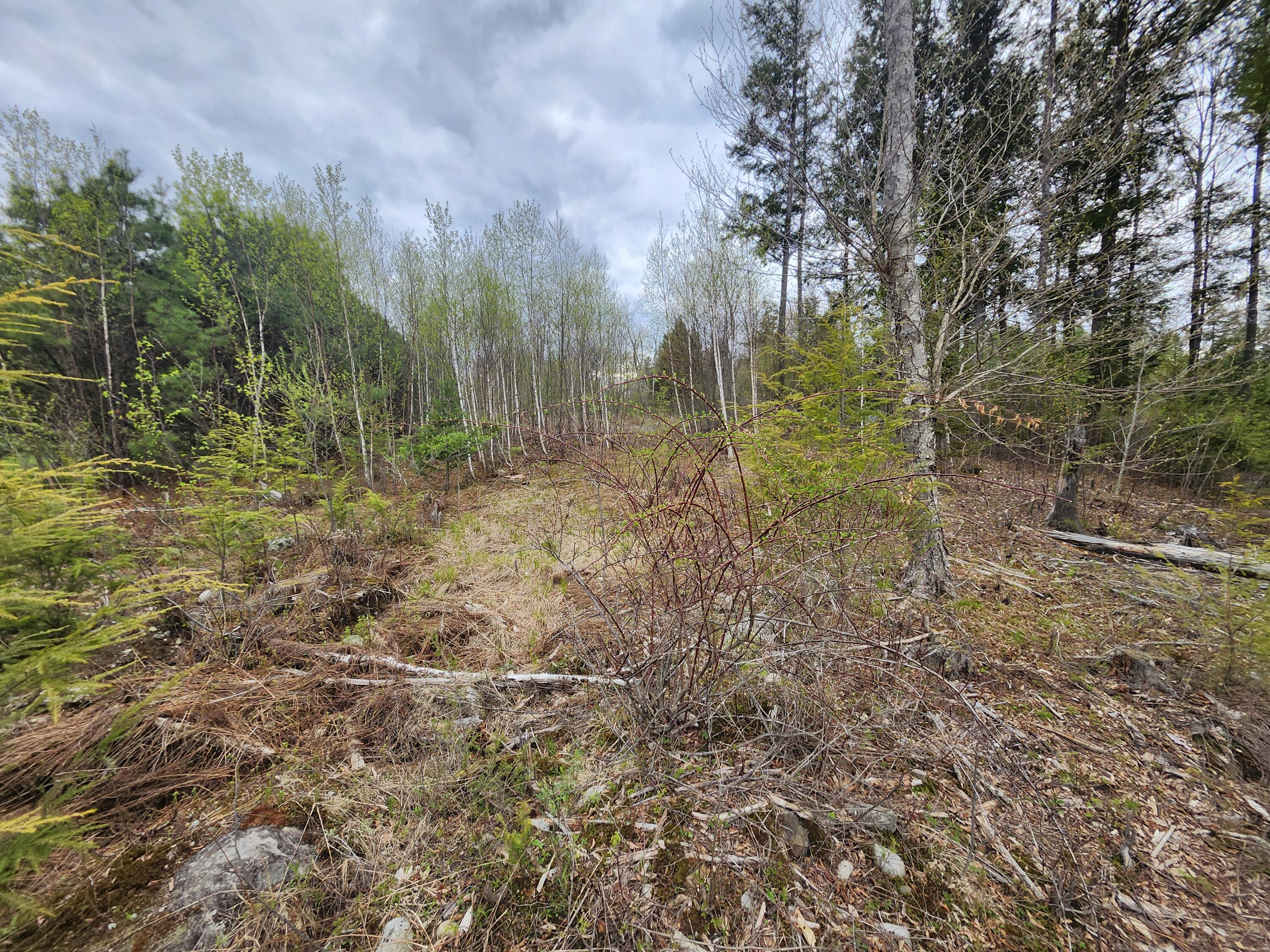 Lot 10 Deer Drive Property Photo 17