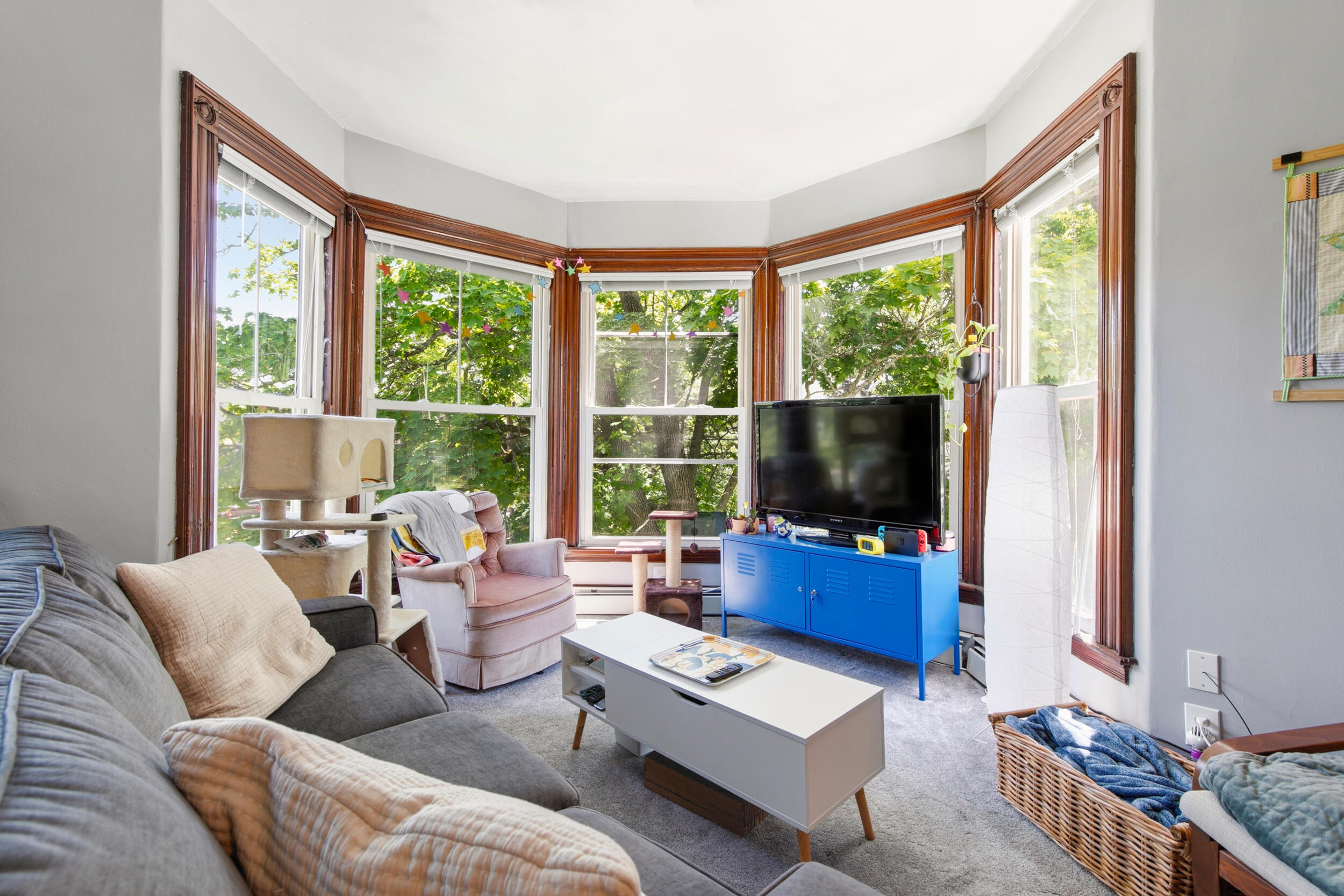 7 Huntress Street Property Photo 33