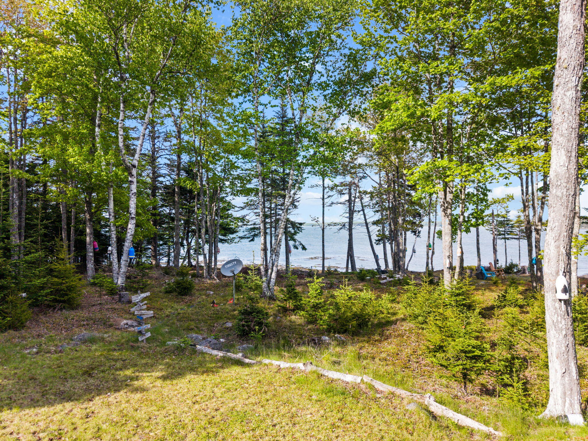 566 Rays Point Road Property Photo 14