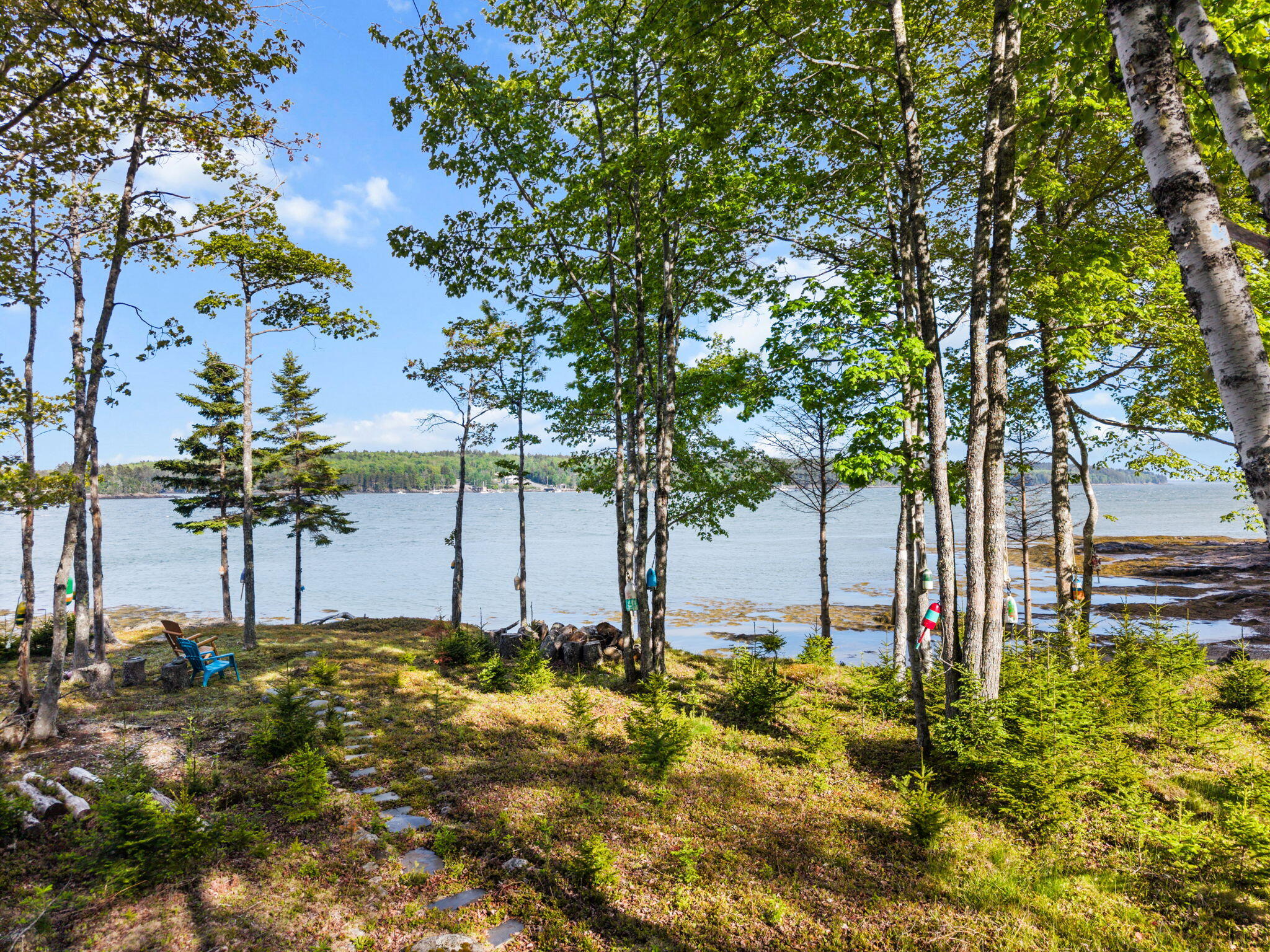 566 Rays Point Road Property Photo 15