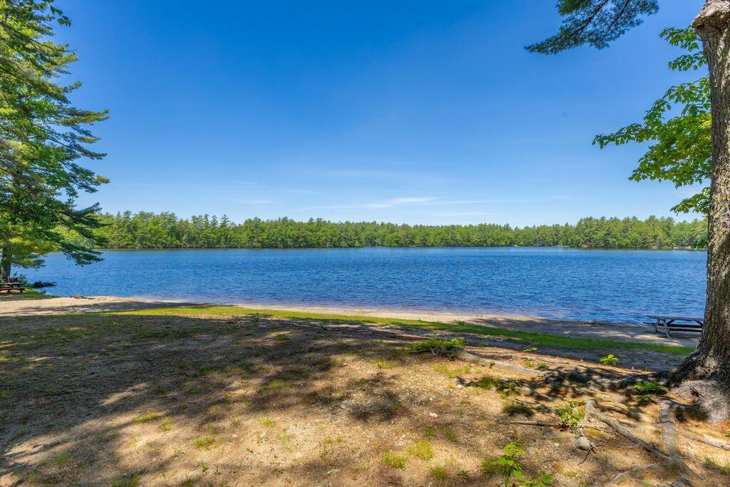 50 Northland Road Property Photo 33