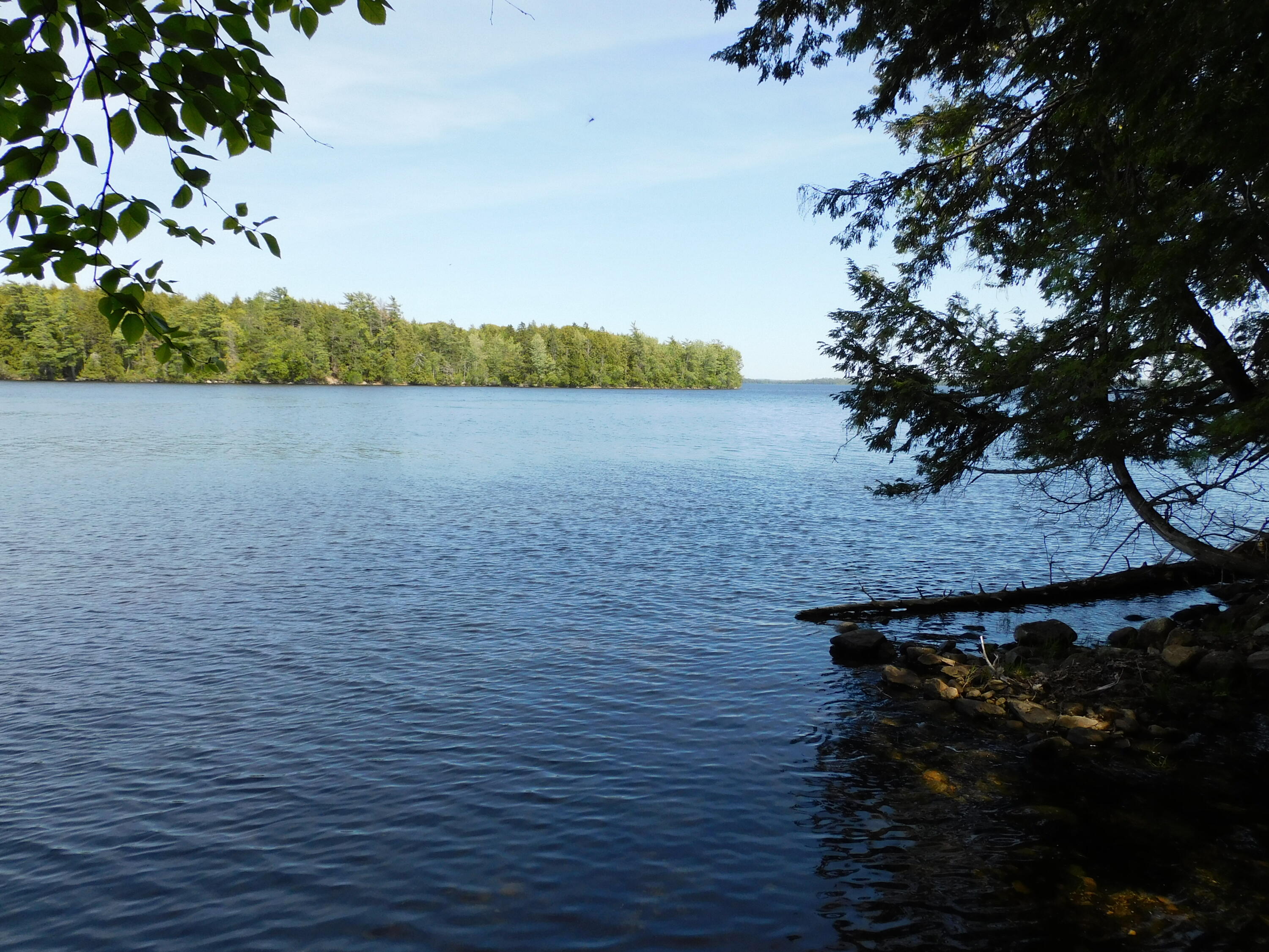 Lot 2 Big Lake Shores Road Property Photo 1