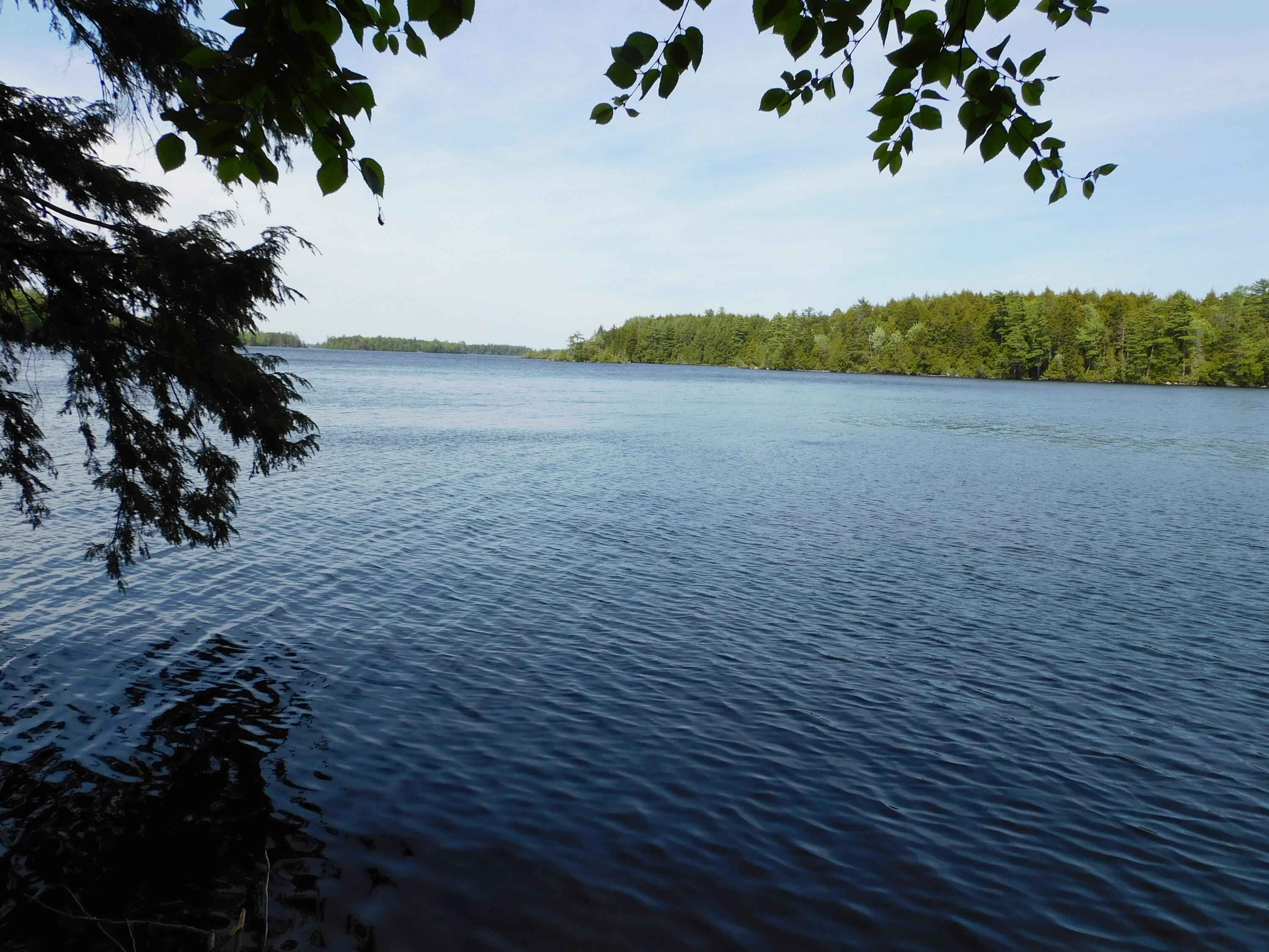 Lot 2 Big Lake Shores Road Property Photo 2