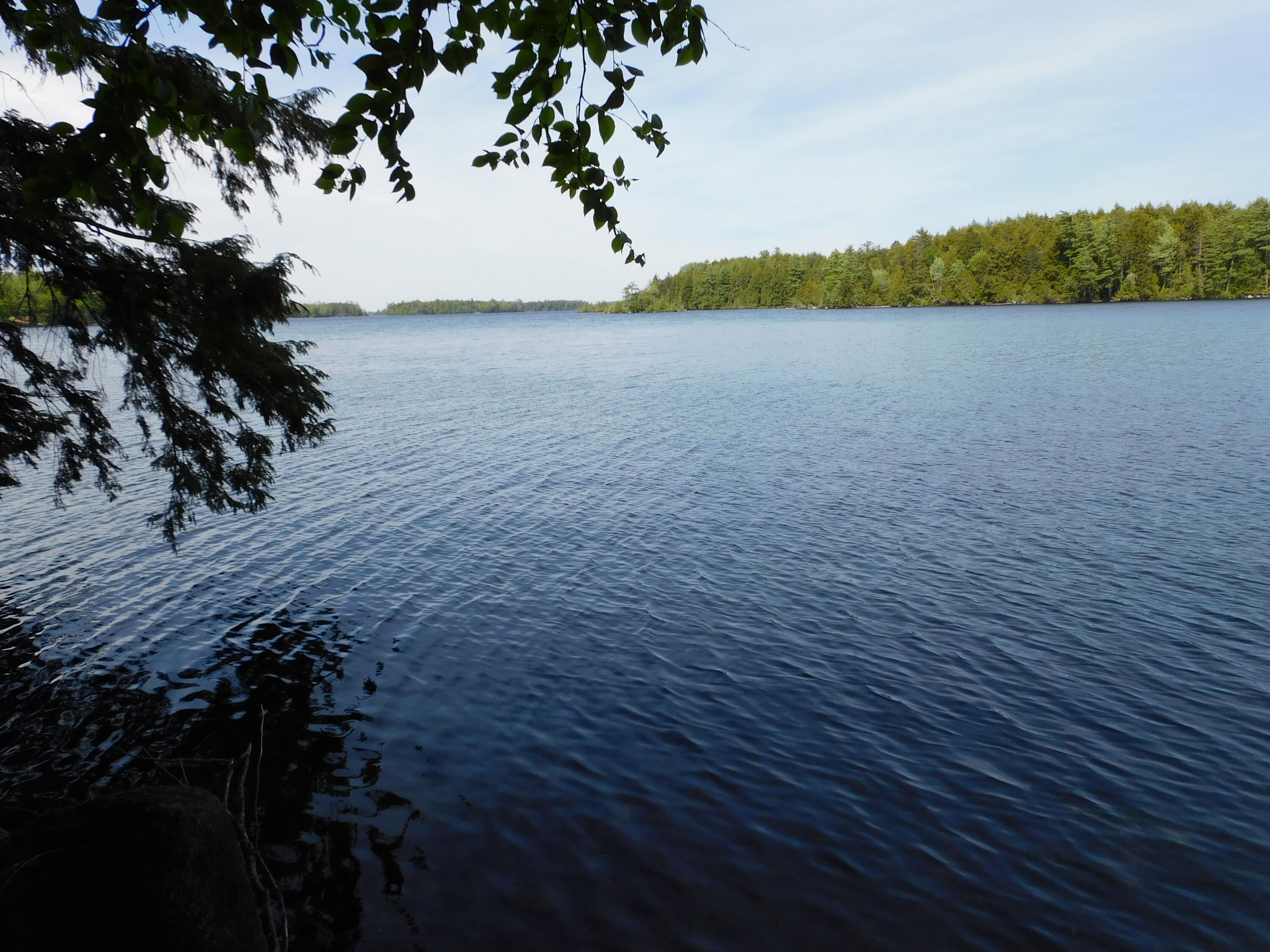 Lot 2 Big Lake Shores Road Property Photo 4