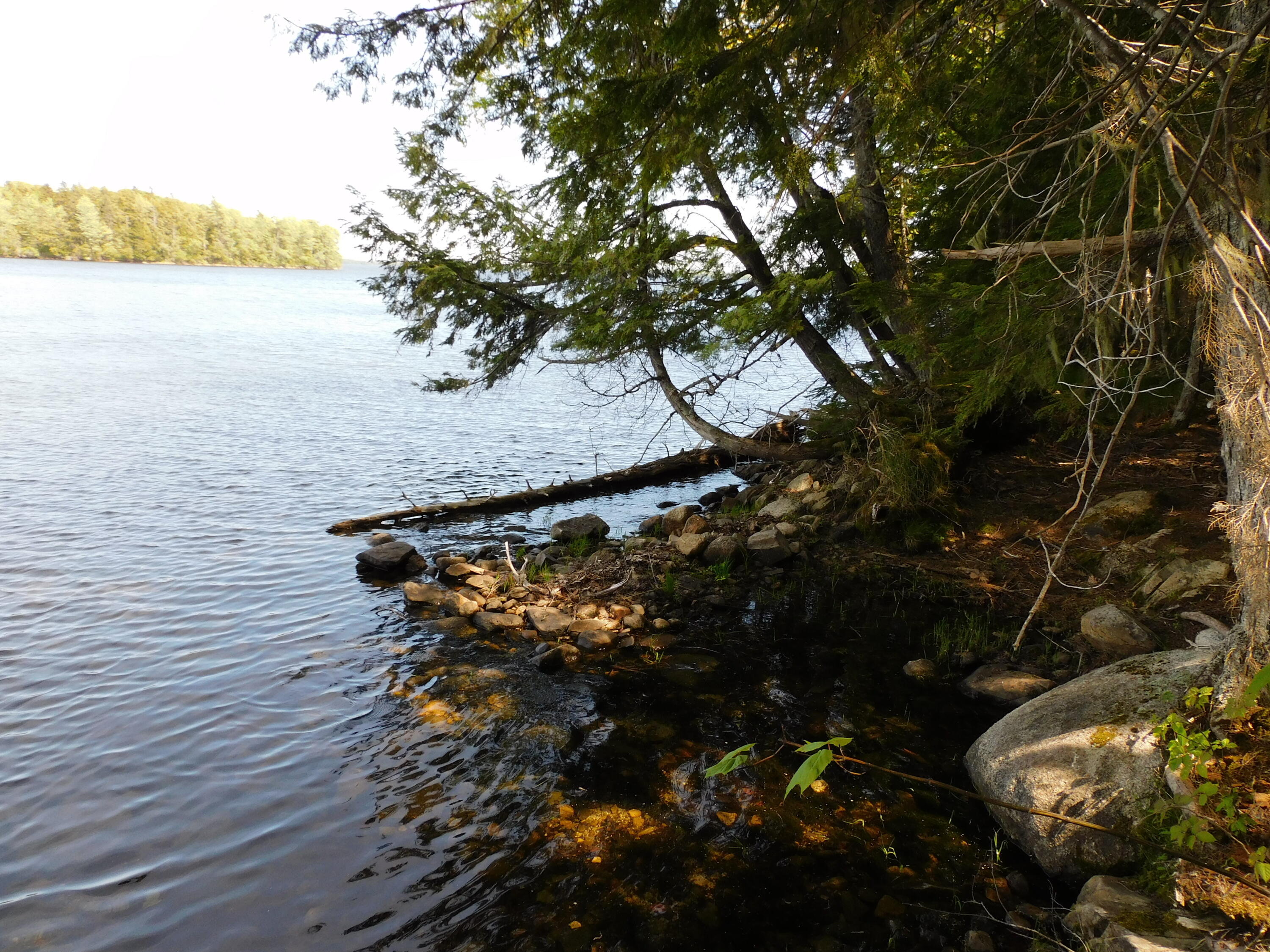 Lot 2 Big Lake Shores Road Property Photo 5