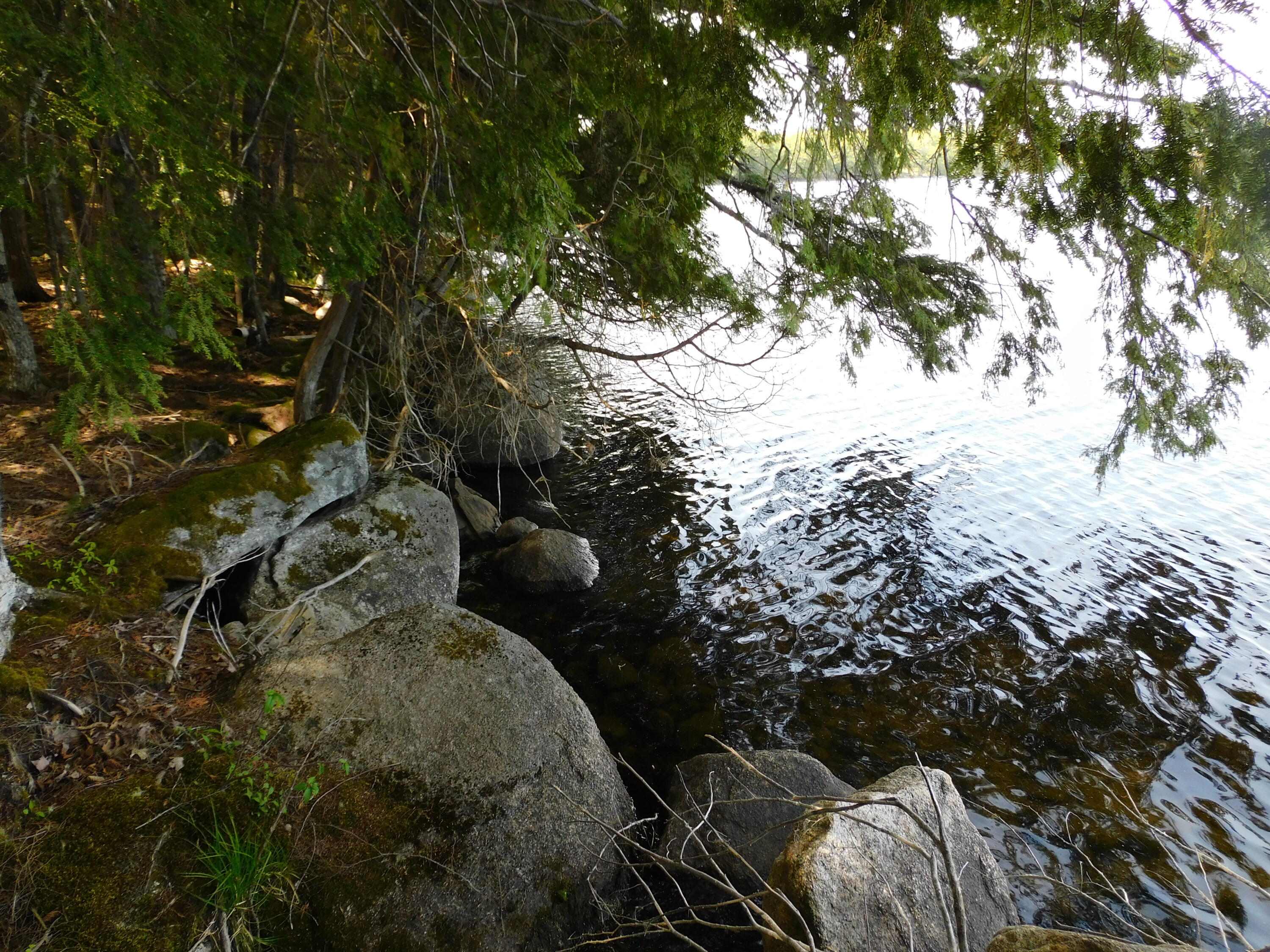 Lot 2 Big Lake Shores Road Property Photo 6