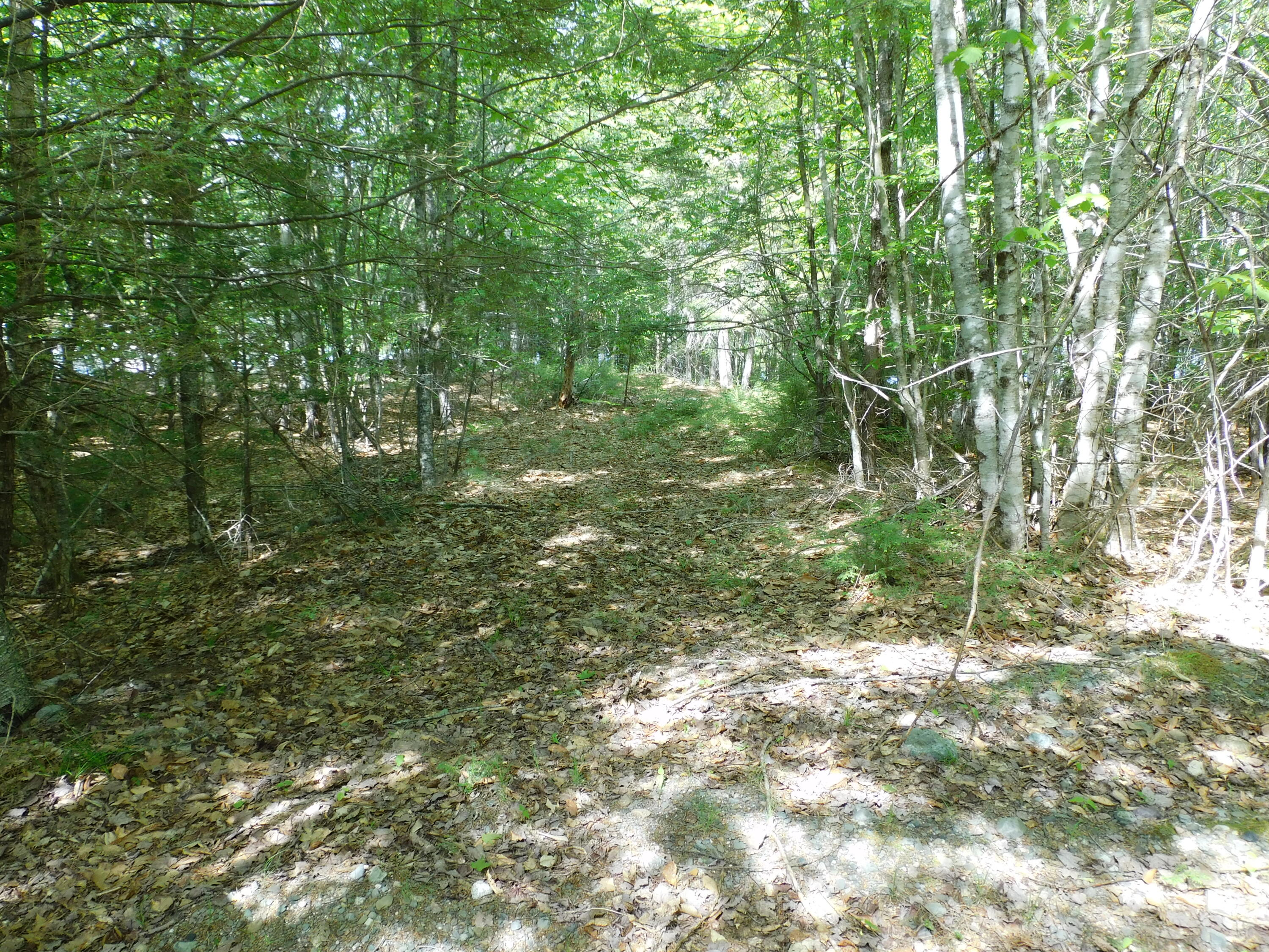 Lot 2 Big Lake Shores Road Property Photo 7